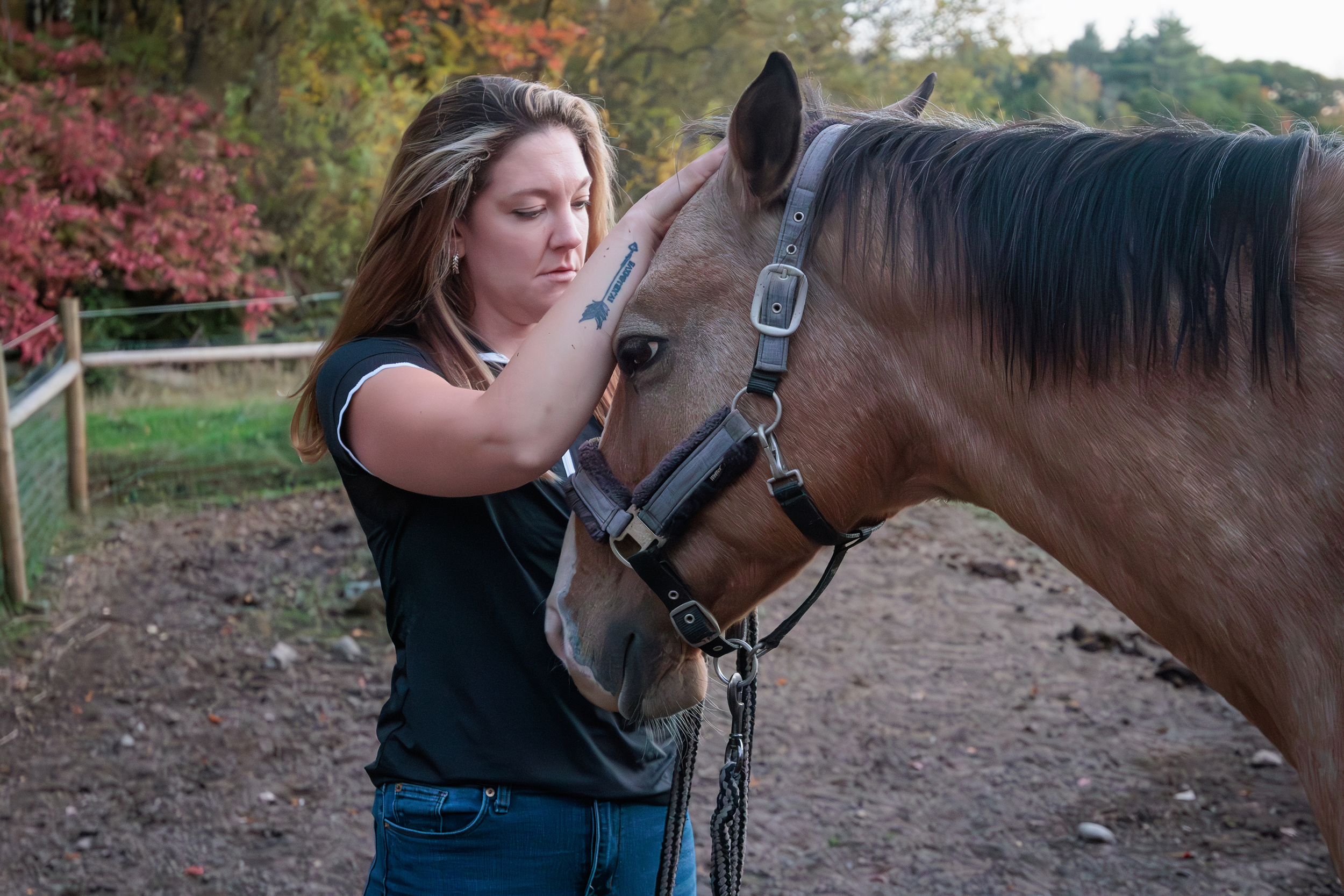 Woman gently performing craniosacral therapy on a brown horse’s head