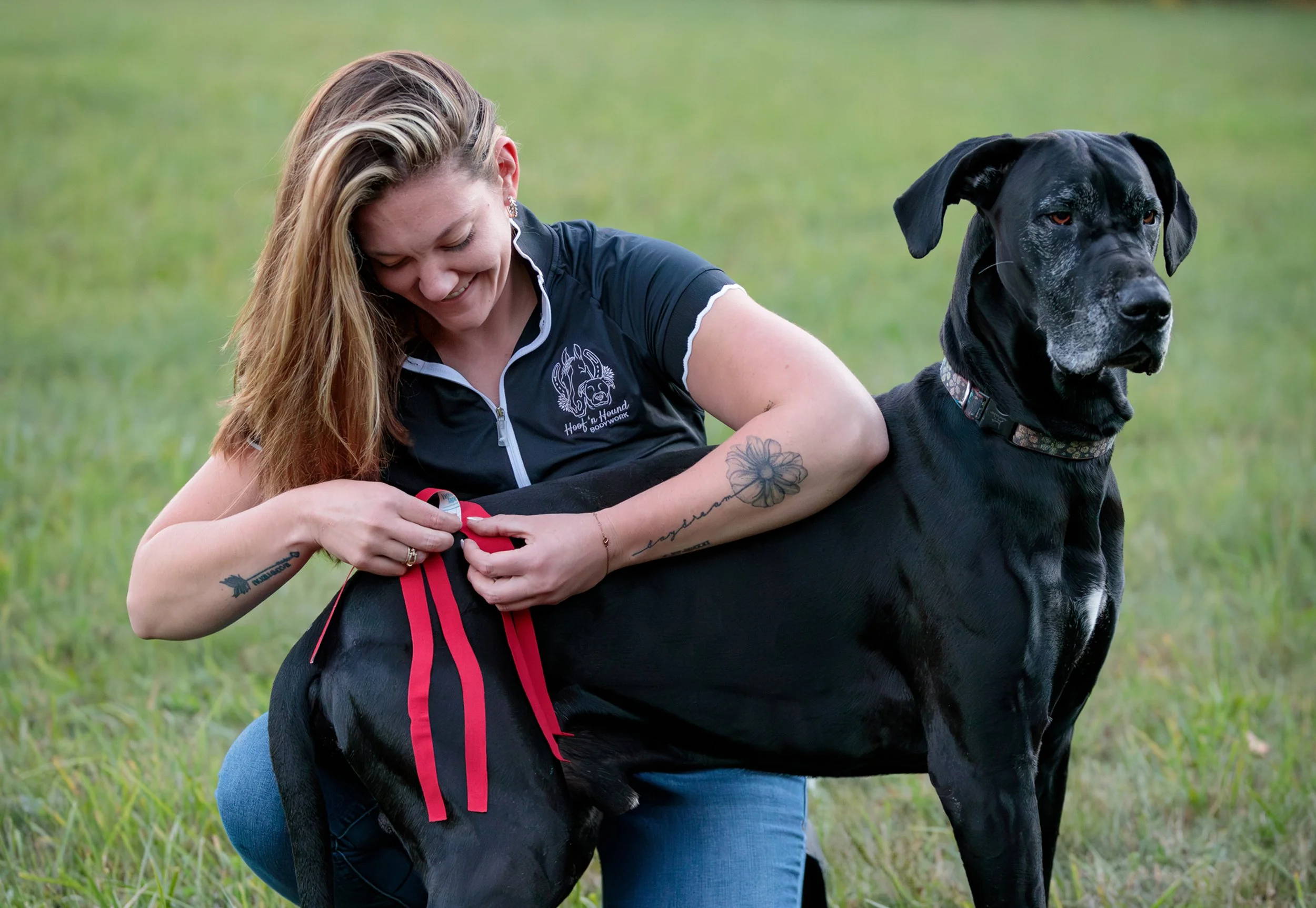 Woman applying bright red kinesiology tape to a large black dog’s hind leg