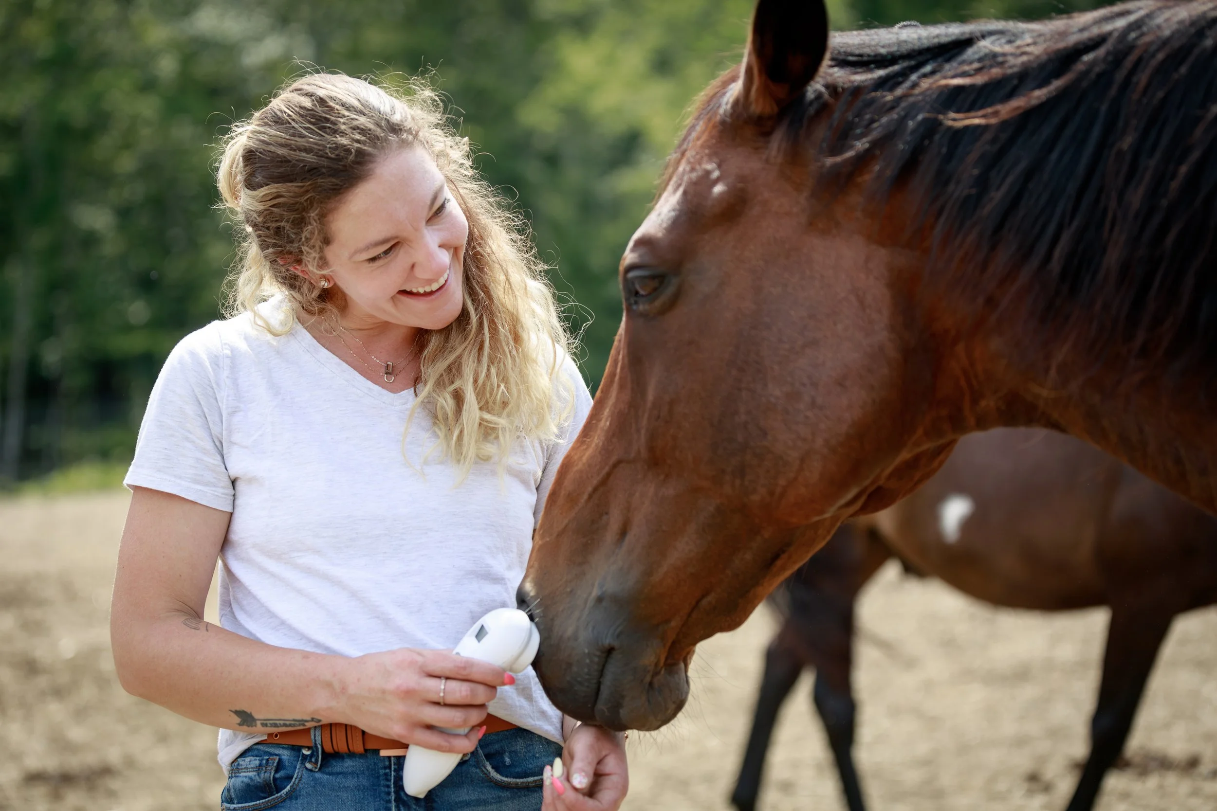 Woman performing laser therapy on a brown horse outdoors