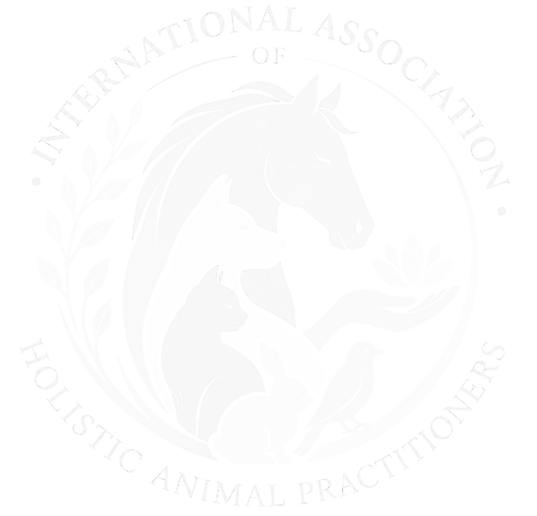 A circular emblem featuring a horse and a dog with text around the border that says 'Michigan Mountain Lion Foundation'.