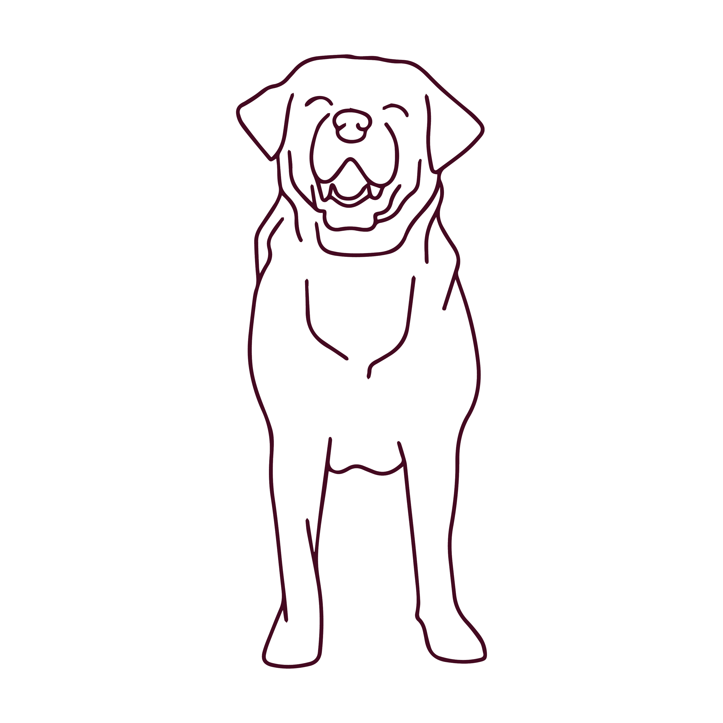 Minimal line drawing of a dog standing and facing forward