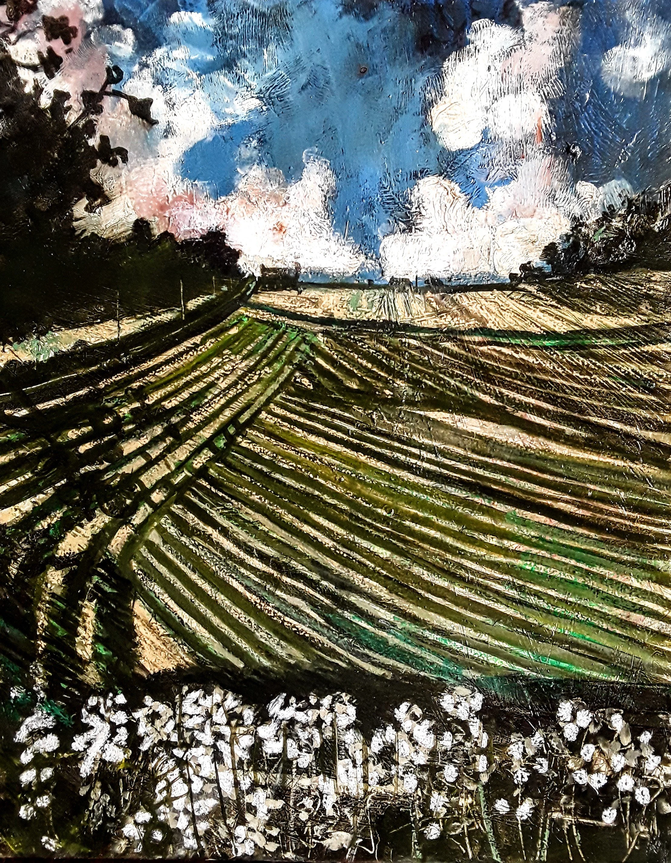 The First Cut (and Cow Parsley)