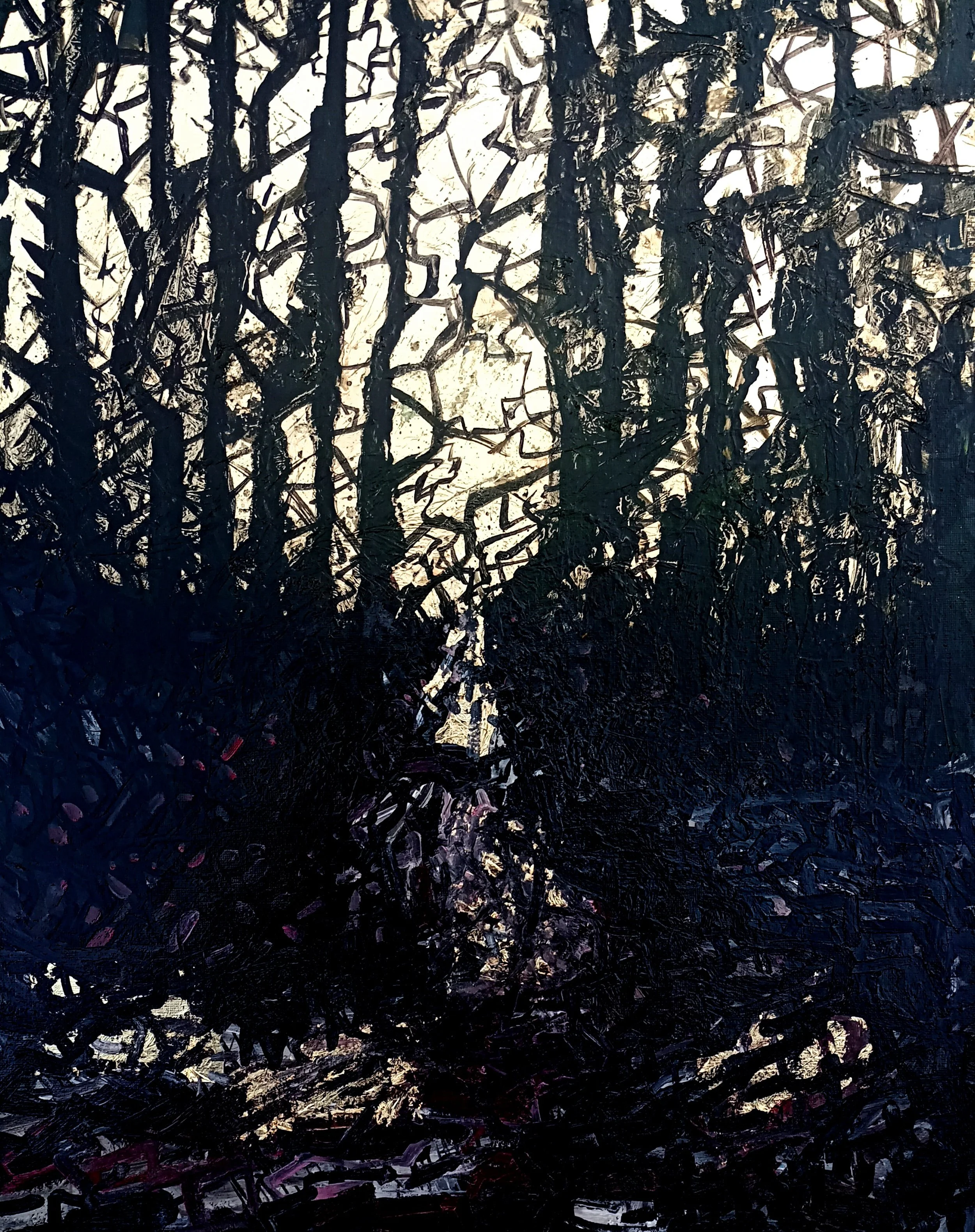Forest (Winter Sun)