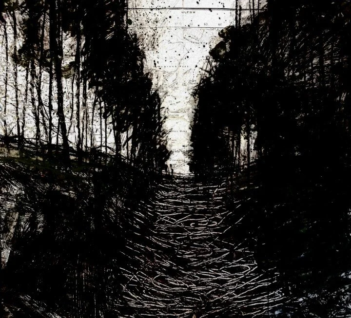 Forest (Marks on Maps)