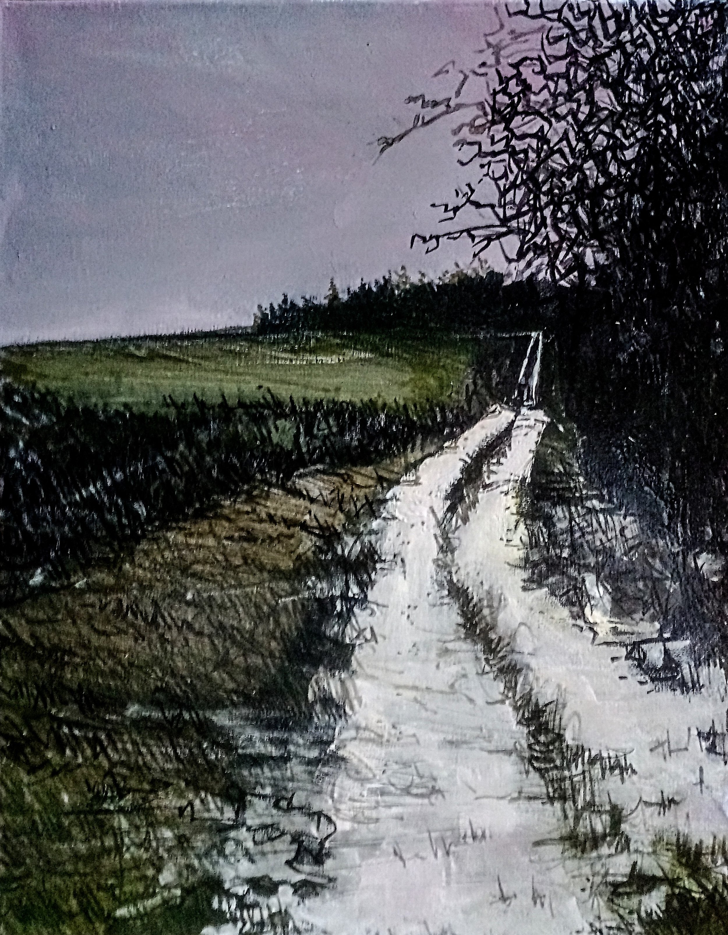 Snow Tracks to a Winter Horizon