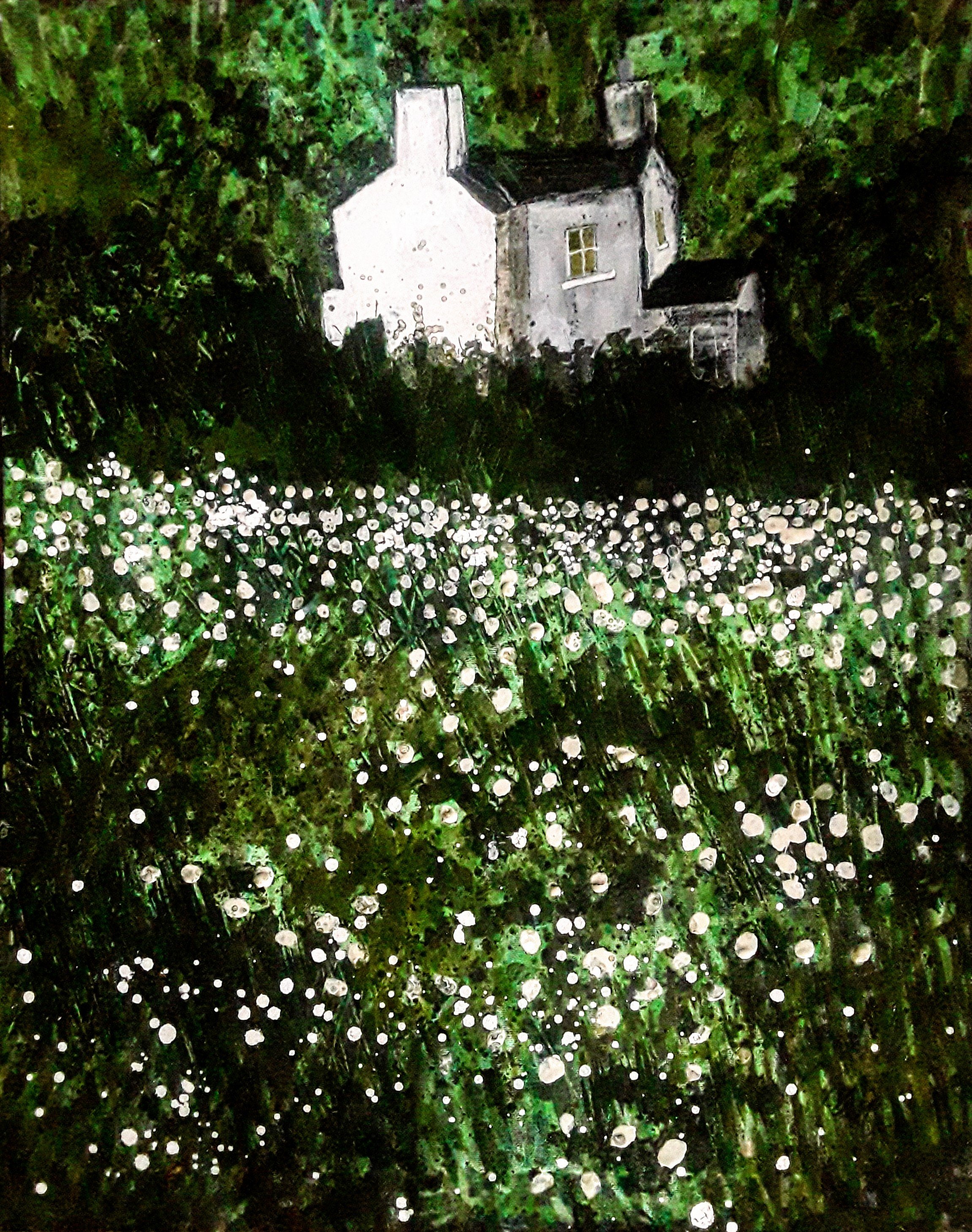 Mystery and the Dandelions 