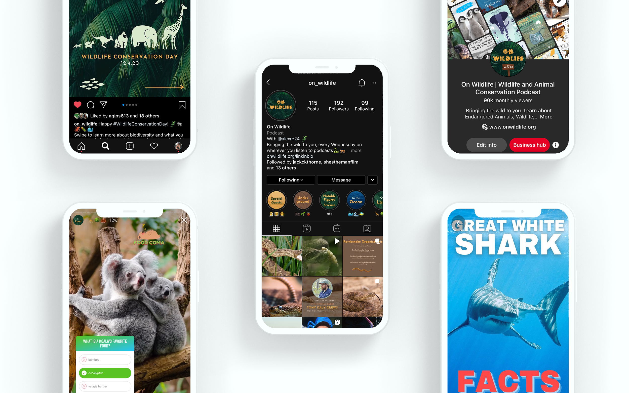 A collection of mobile phone screens displaying various environmental and wildlife-themed content, including a 'Wildlife Conservation Day' poster, a podcast profile, and images of animals such as koalas and sharks.