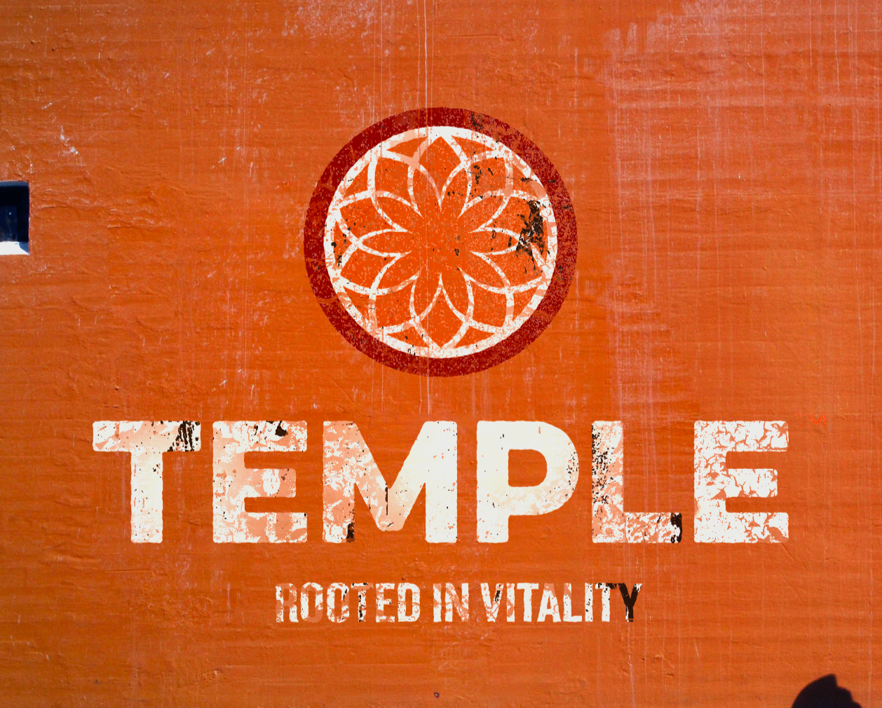 A sign with an orange background featuring a white decorative circle design at the top. Below it, the word 'TAMPLE' is displayed in large, distressed white letters, and underneath that, the phrase 'ROOTED IN VITALITY' is written in smaller black distressed letters.