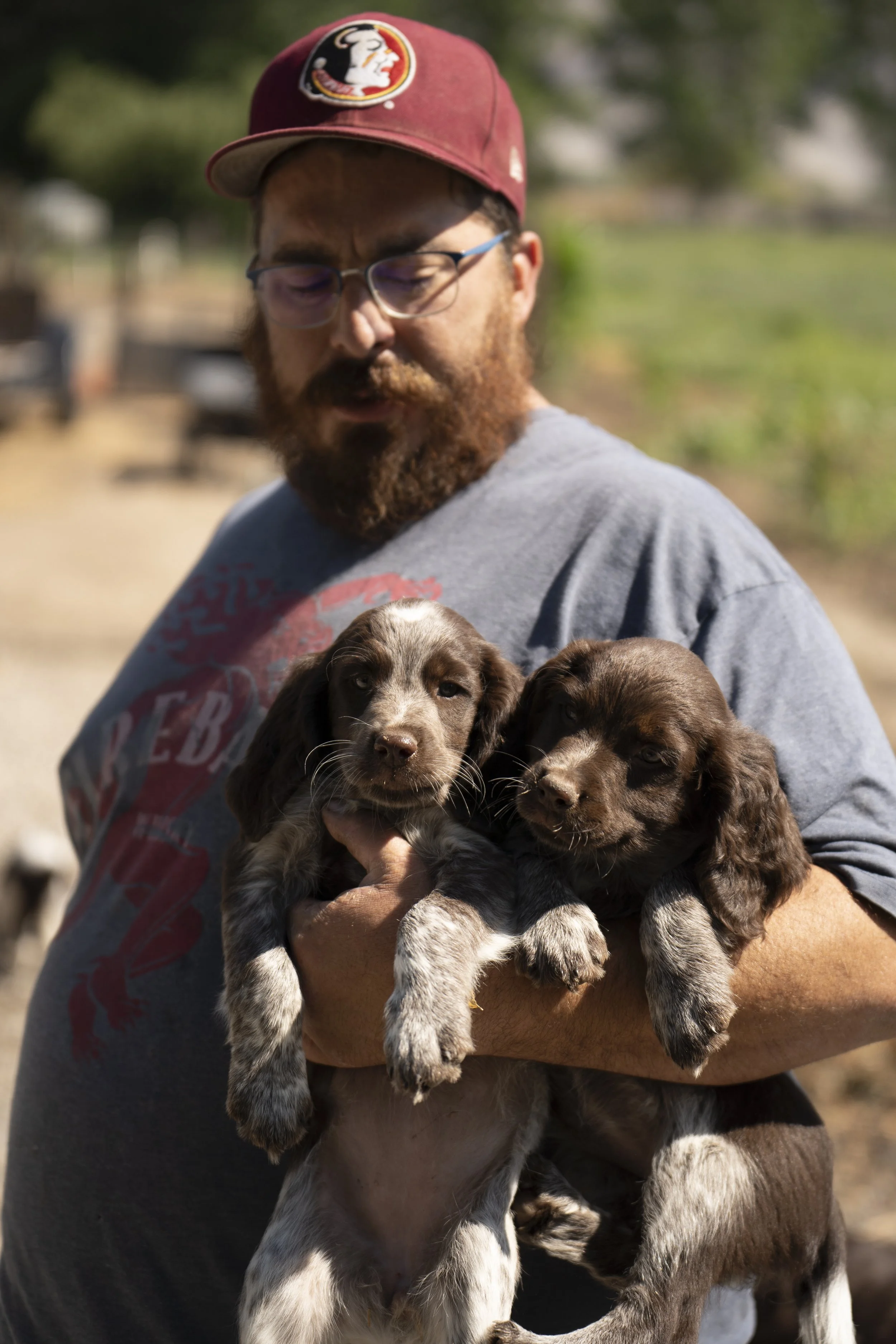 A person with glasses, a beard, and a red cap holding two brown and white puppies outdoors with a blurred background.