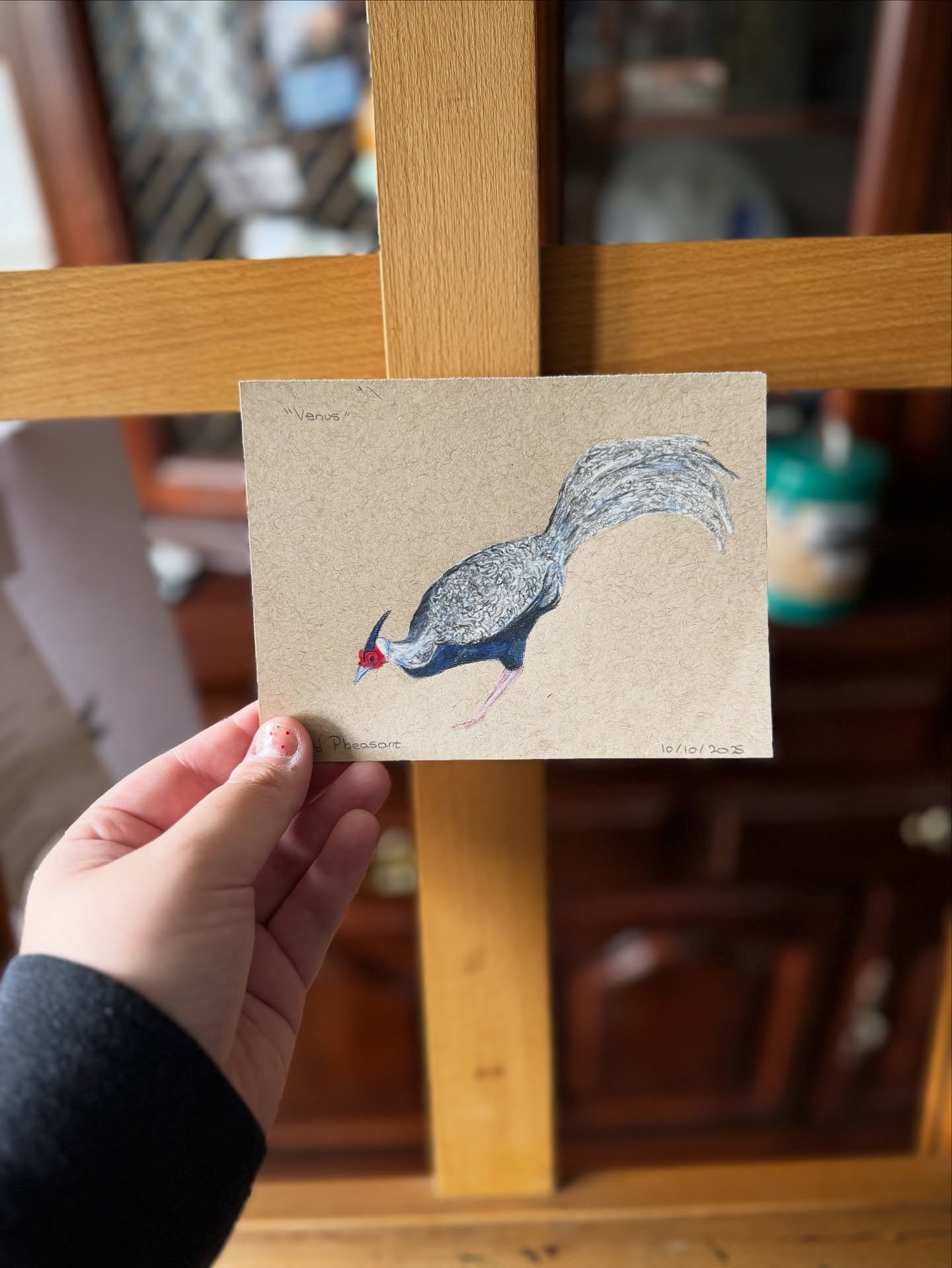 maybe I'll catch up on posts, maybe I won't 🤷

#birdtober #birdtober2025 #birdtober2025day10 #kalijpheasant