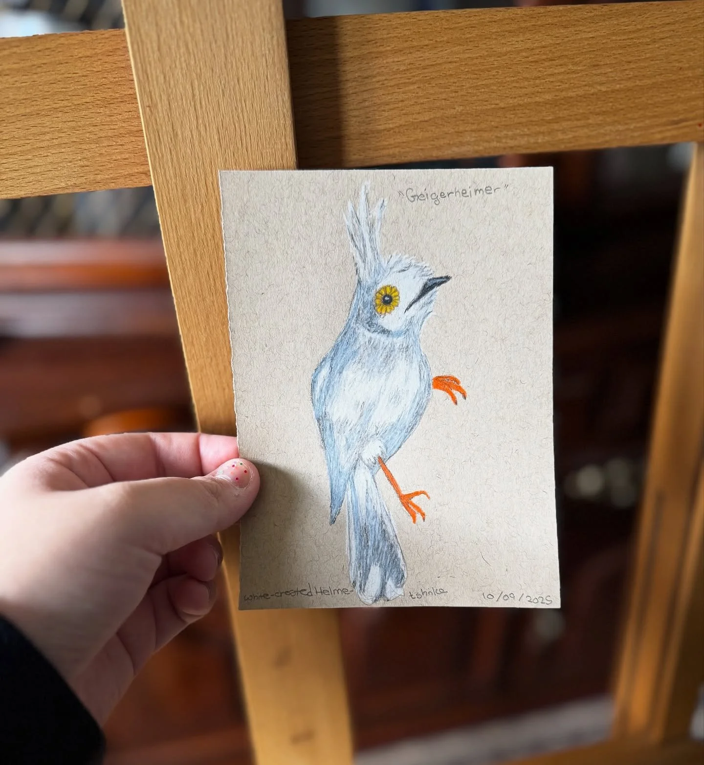 Definitely one of my new favorite birds ! 

#birdtober #birdtober2025 #birdtober2025day9
