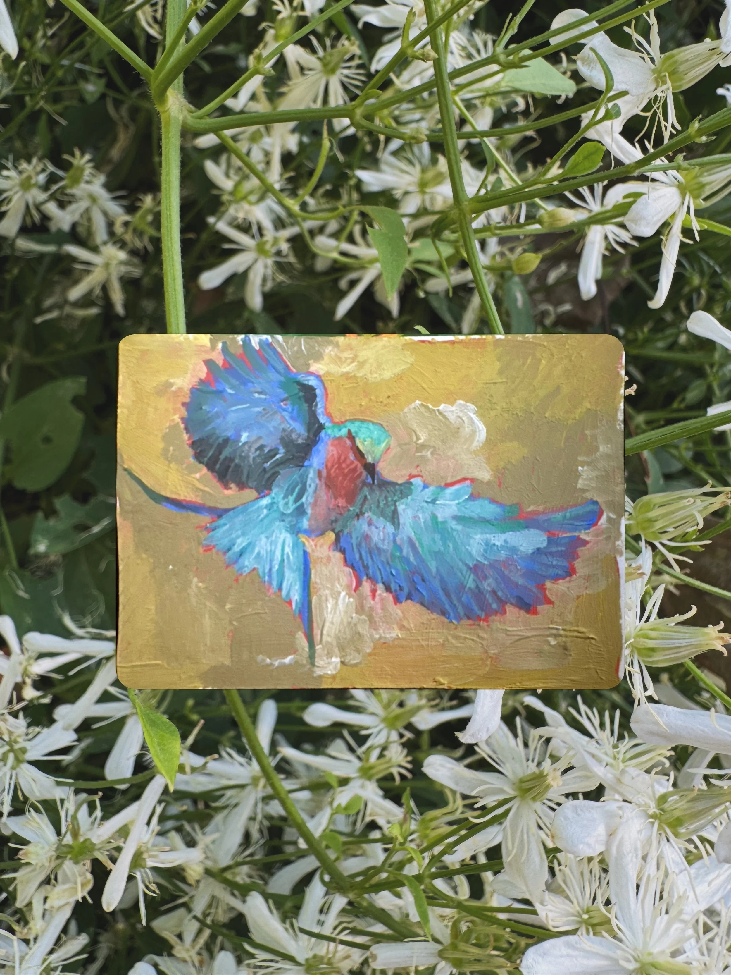 #birdtober2026 Day 1 - Lilac-Breasted Roller

Gouache on paper
 3.5 x 2.5 in. Artist Trading Card

#birdtober2026day1 #lilacbreastedroller