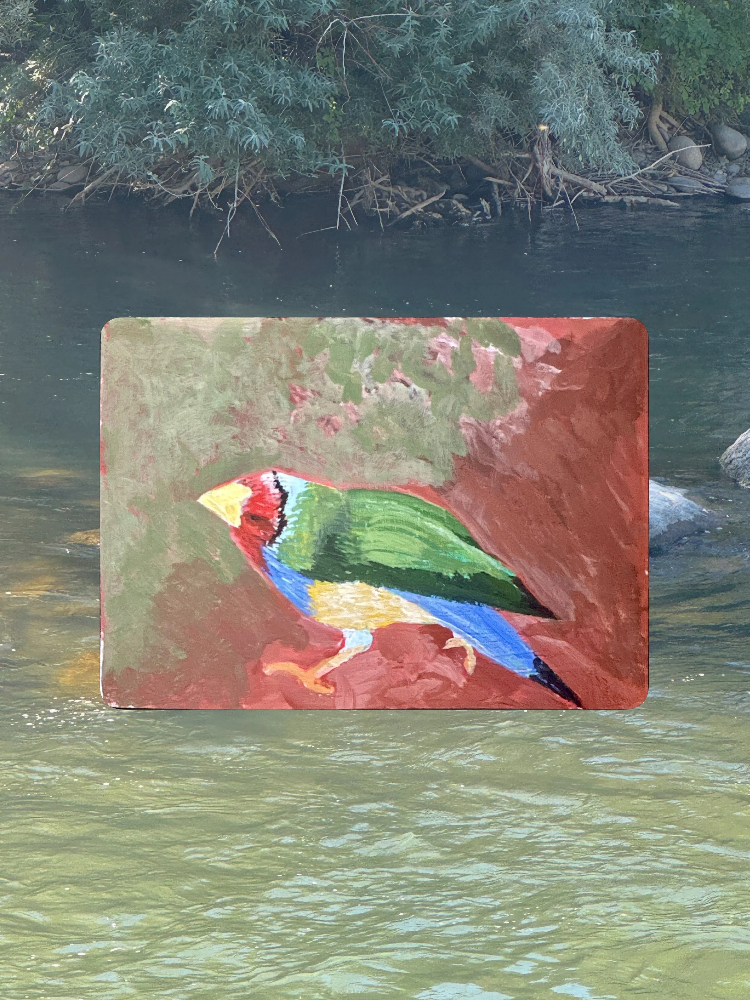 #birdtober2026 Day 4 - Gouldian Finch

Gouache on Paper
3.5x2.5 in. Artist Trading Card

#birdtober2026day4 #gouldianfınch
