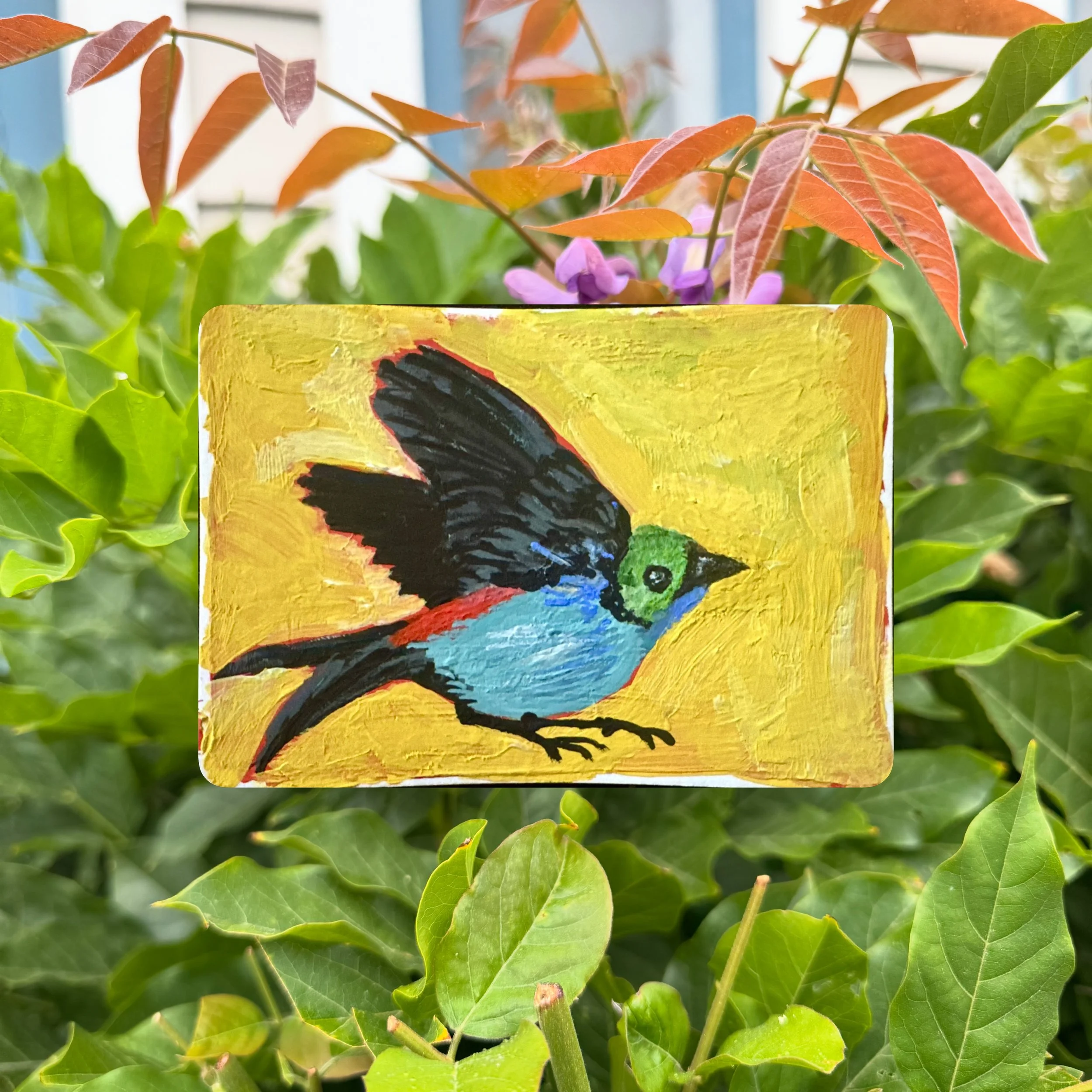 #birdtober2026 Day 6 - Paradise Tanager

Gouache on paper
3.5x2.5 in. Artist Trading Card

#birdtober2026day6 #paradisetanager