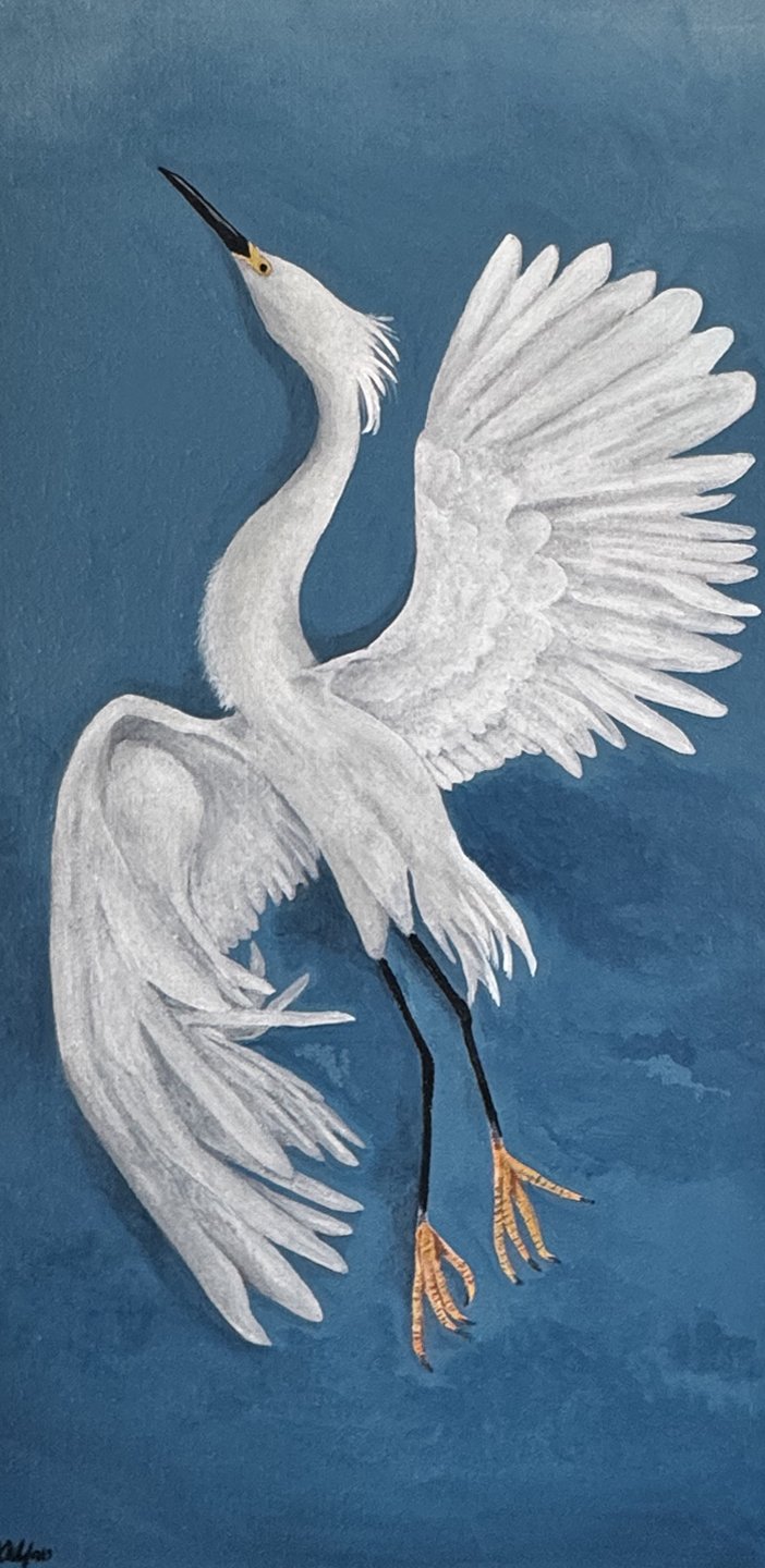The Egret