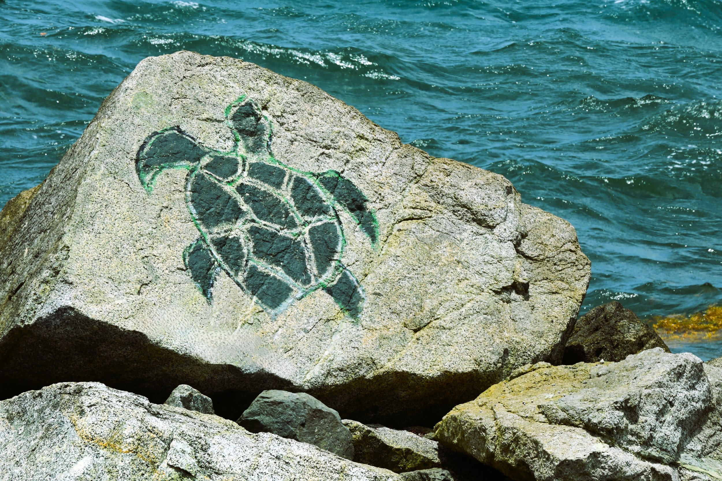 Colorful street art of a horse painted on a large rock by the ocean, with blue-green water in the background.