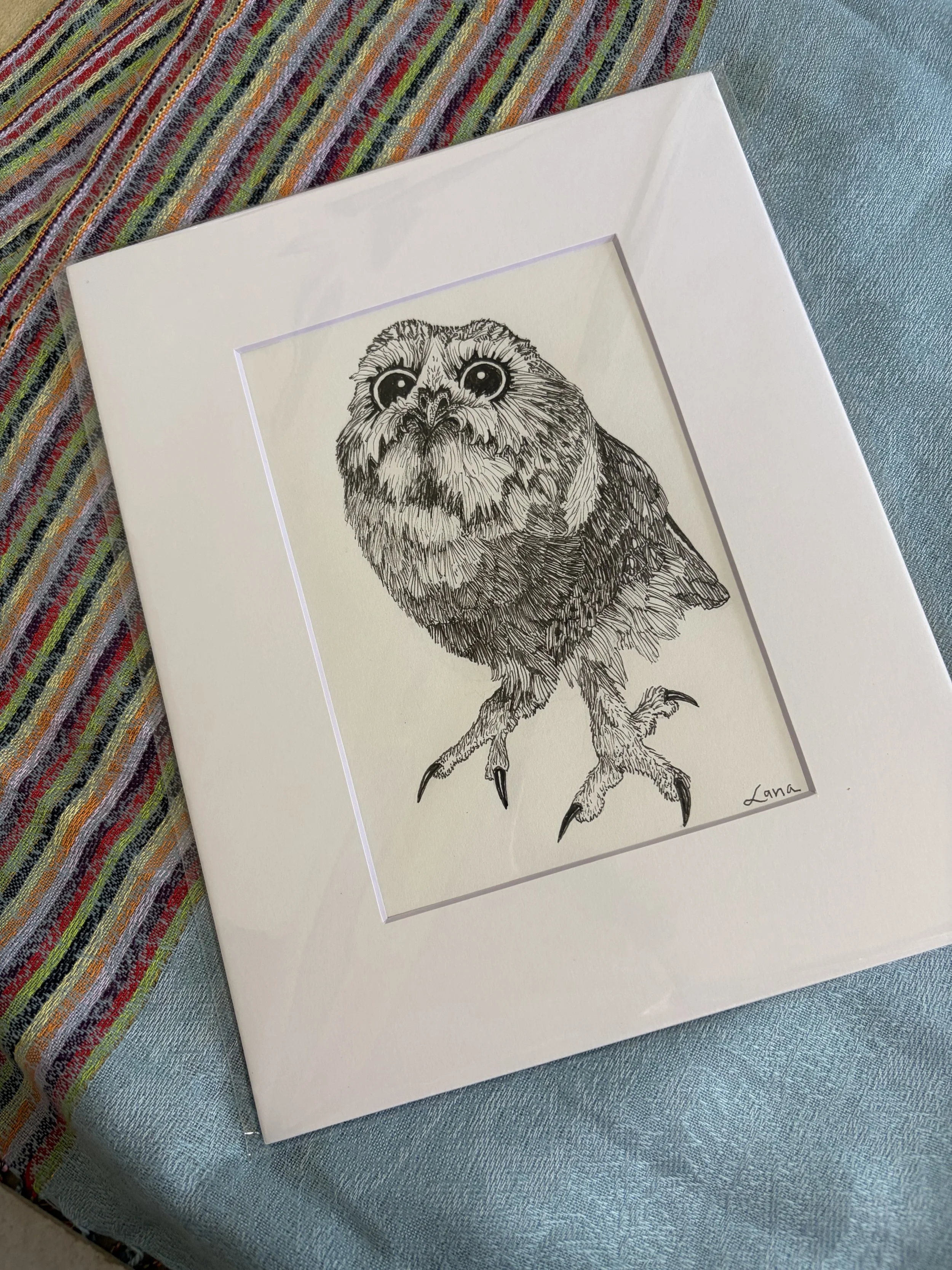 Original Matted Wildlife Illustrations