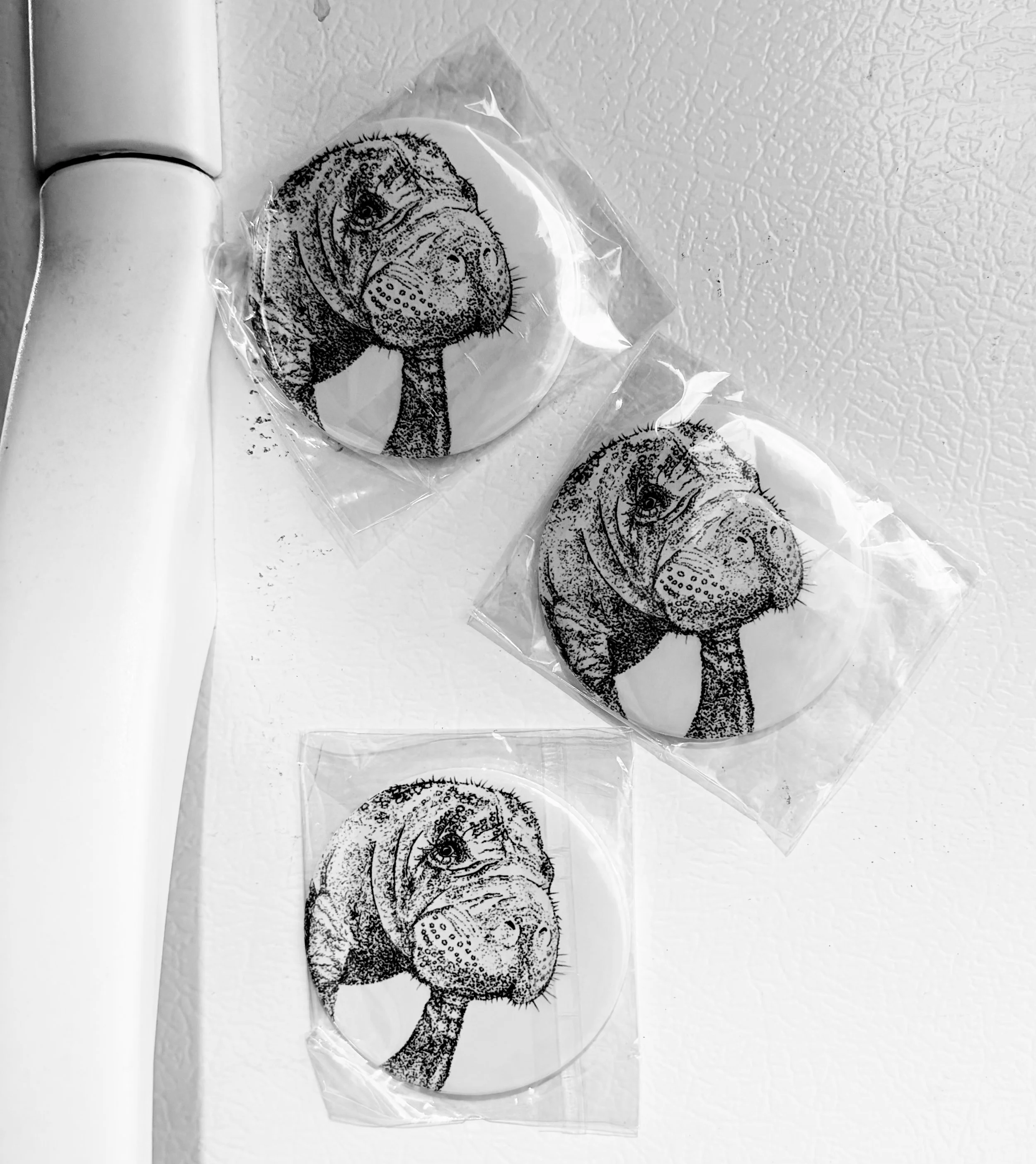 Manatee Refrigerator magnet