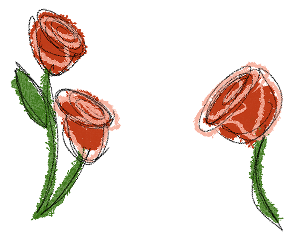 Helen Haggerty's illustrated of three red roses with green leaves and stems, as part of a study for the book The Day the Sky Woke Up Purple.
