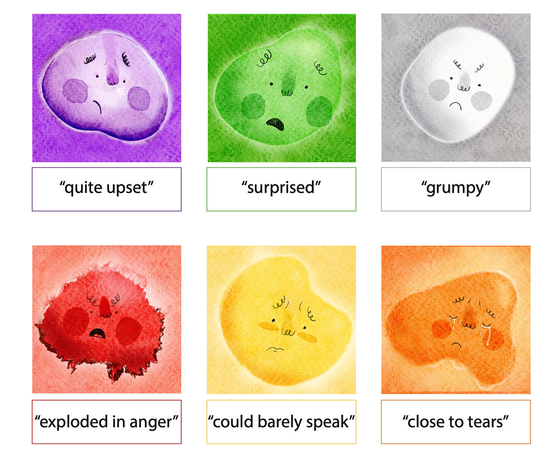 Evolved expressions of the sky
