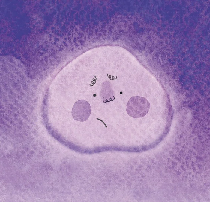 The Day the Sky Woke Up Purple face of the sky when it is purple
