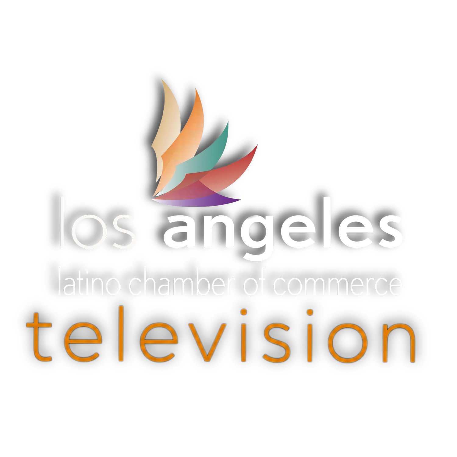 Los Angeles Latino Chamber Television