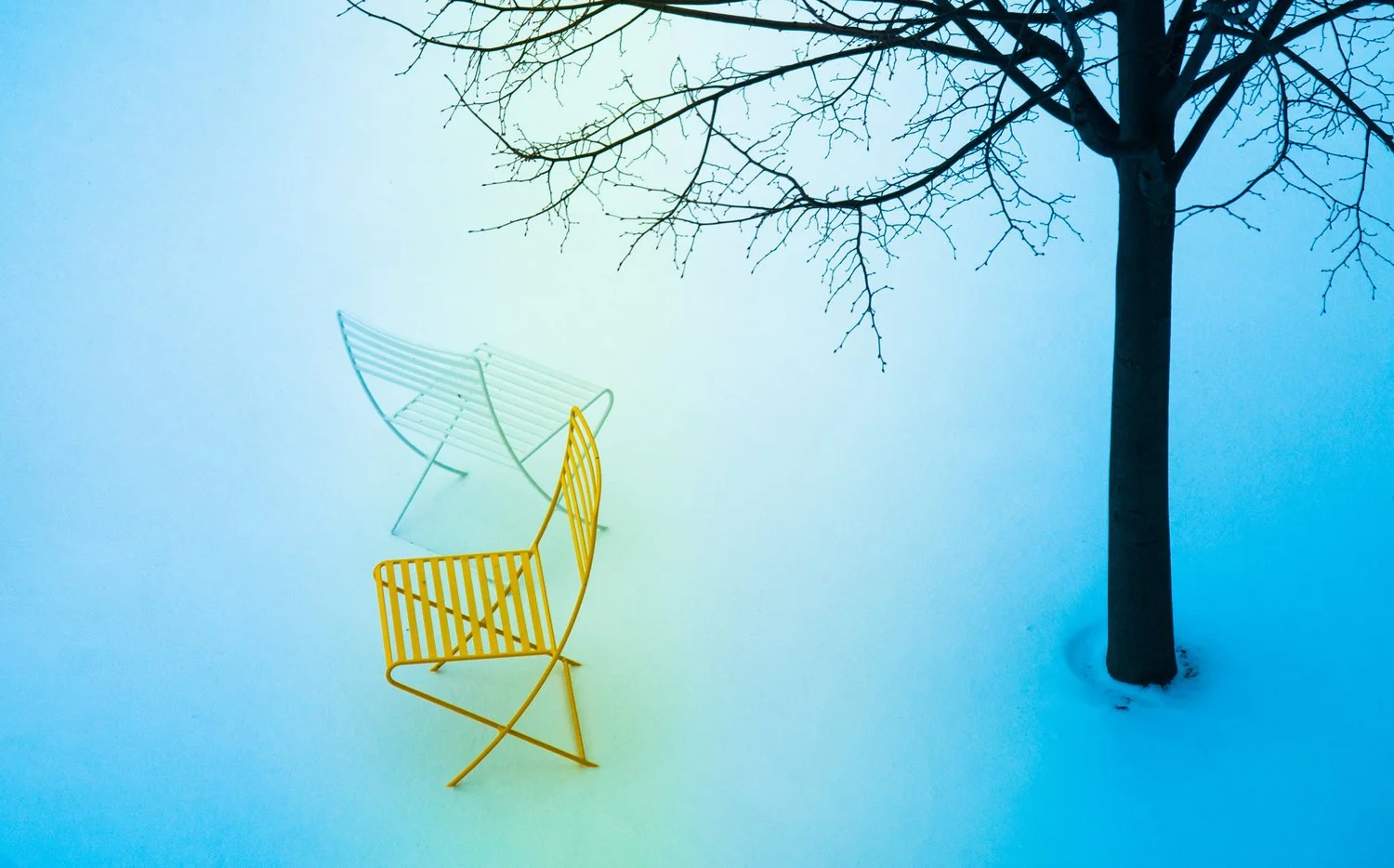 Yellow and white chairs in snow beneath a leafless tree during winter.