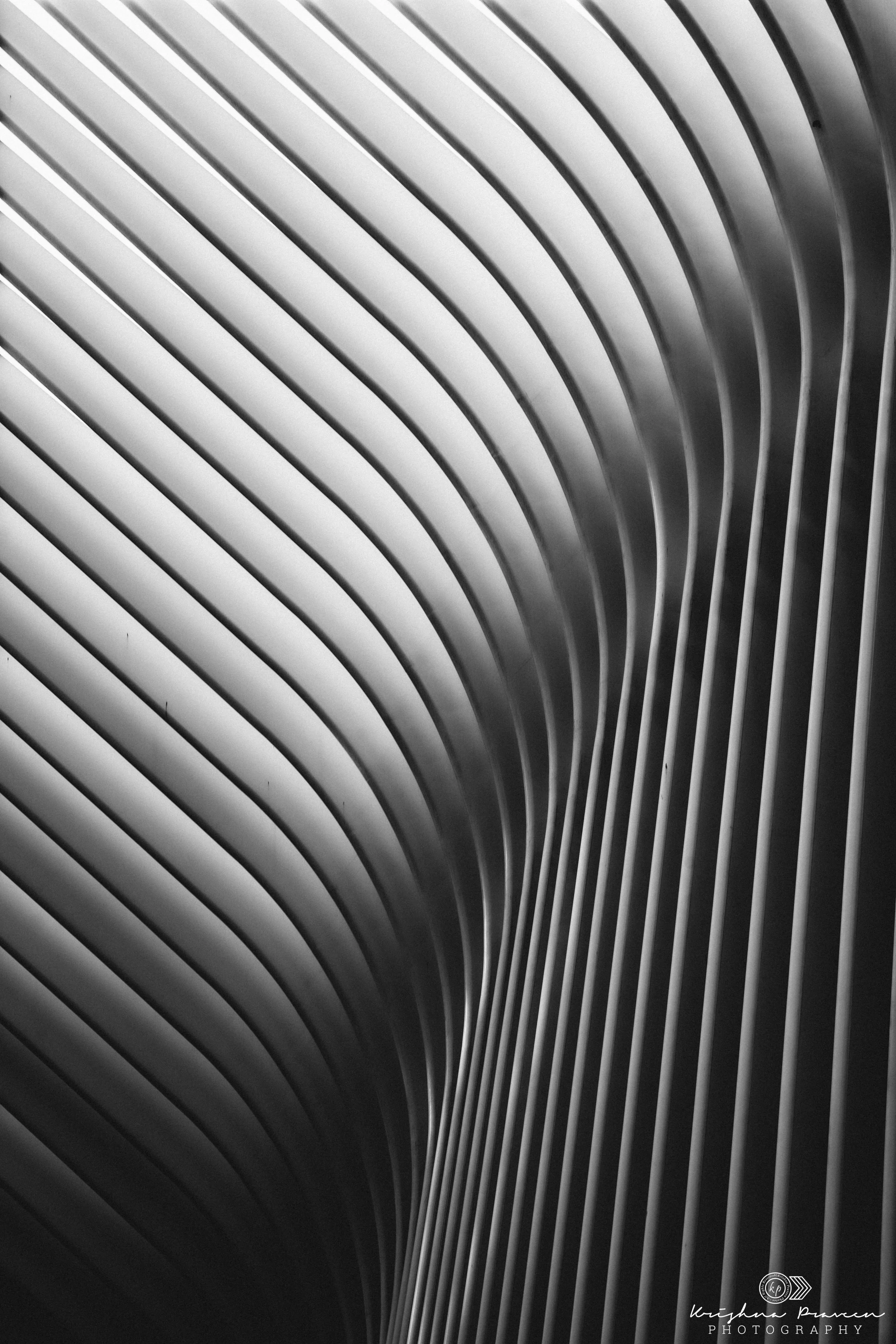 Close-up of metallic, curved, parallel lines creating a pattern in black and white.