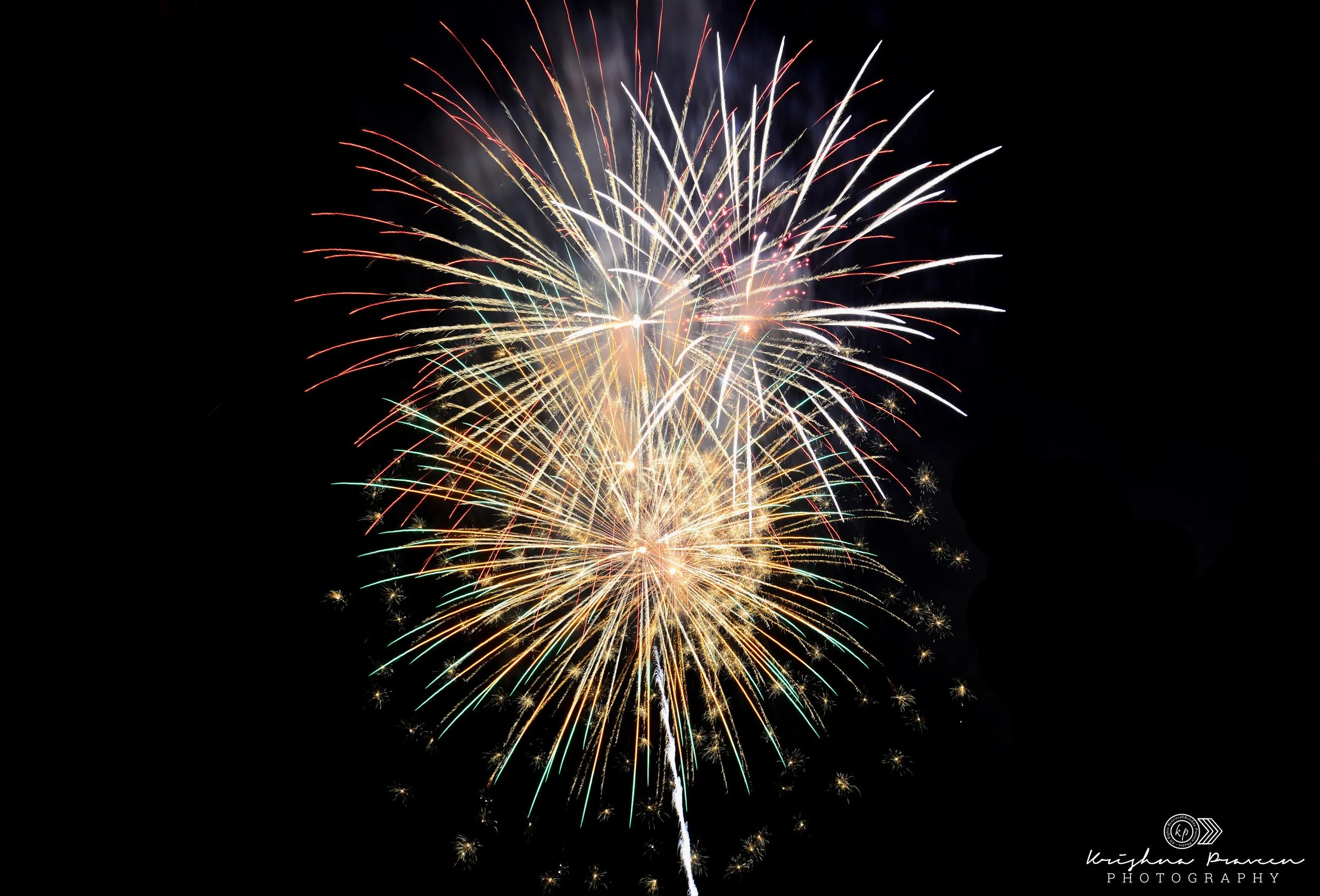 Fireworks exploding in the night sky