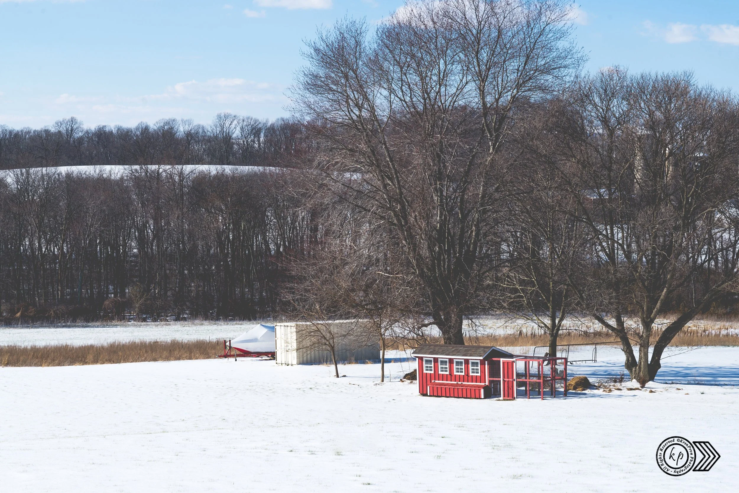 Snow-covered yard with a red chicken coop, a small shed, and a boat. Large leafless trees in the background and a clear blue sky.
