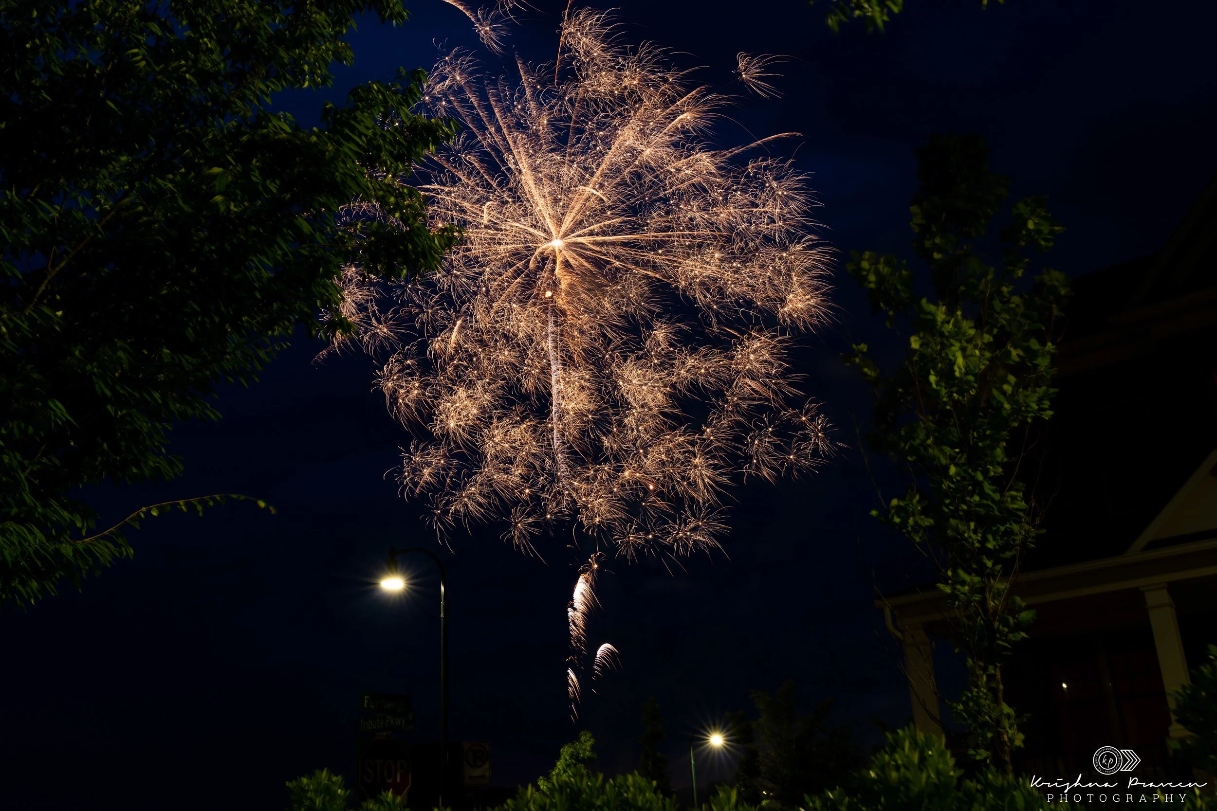 Fireworks display in the night sky with bright, golden bursts and streaks, partially obscured by trees and streetlights below.