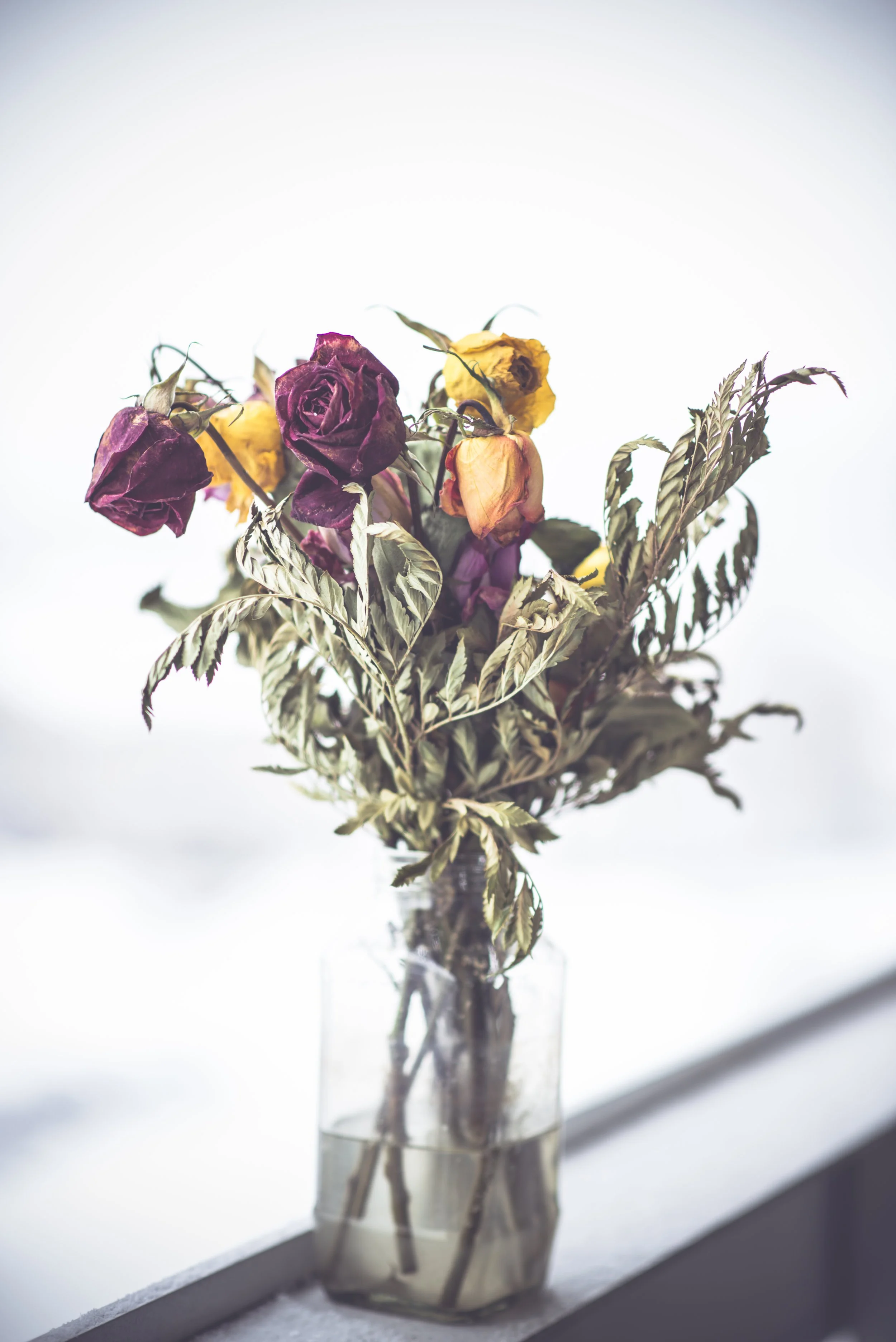 A glass vase filled with dried, shriveled roses and leaves, placed on a windowsill with bright natural light.