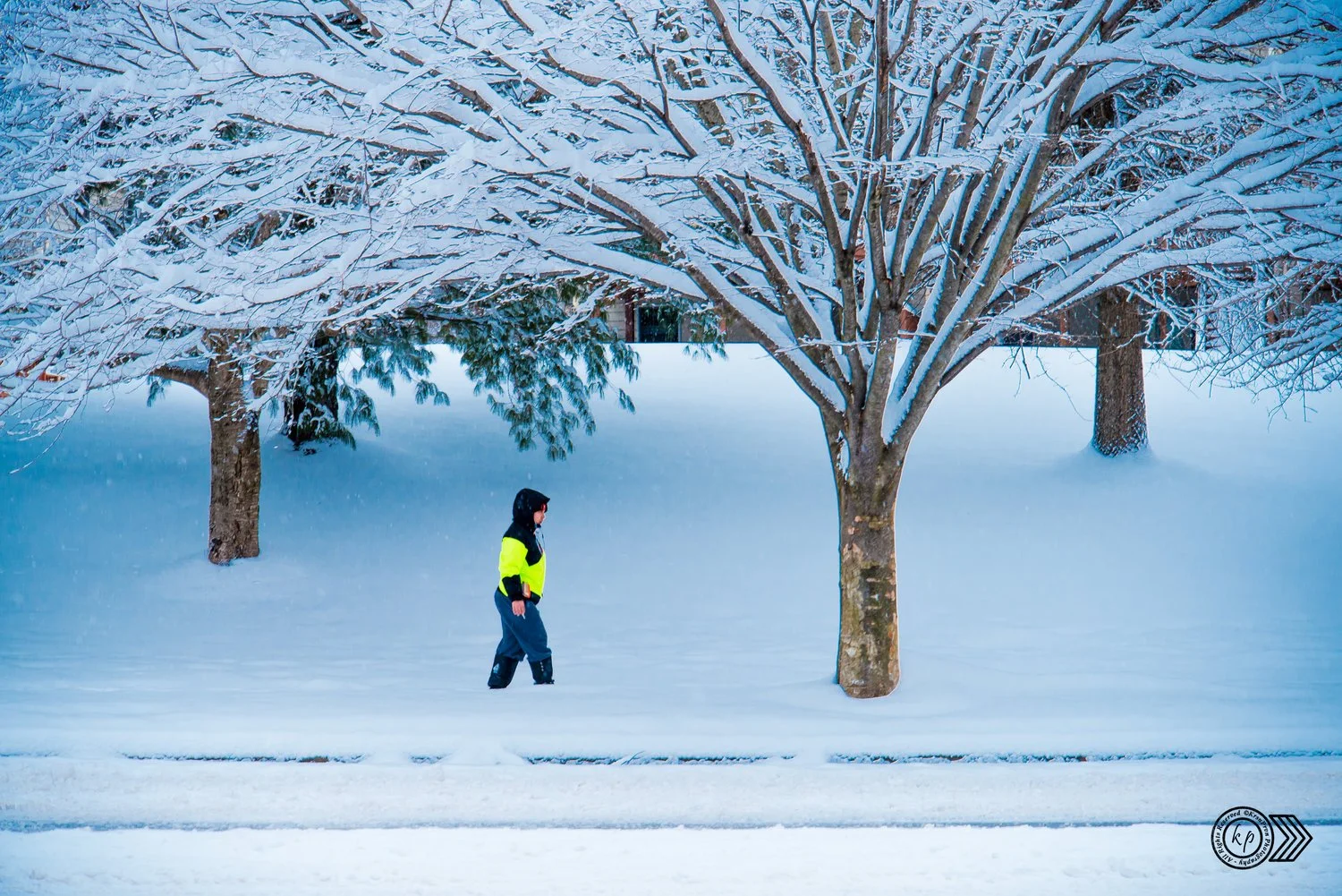 Person walking on snowy sidewalk beneath snow-covered trees in winter.