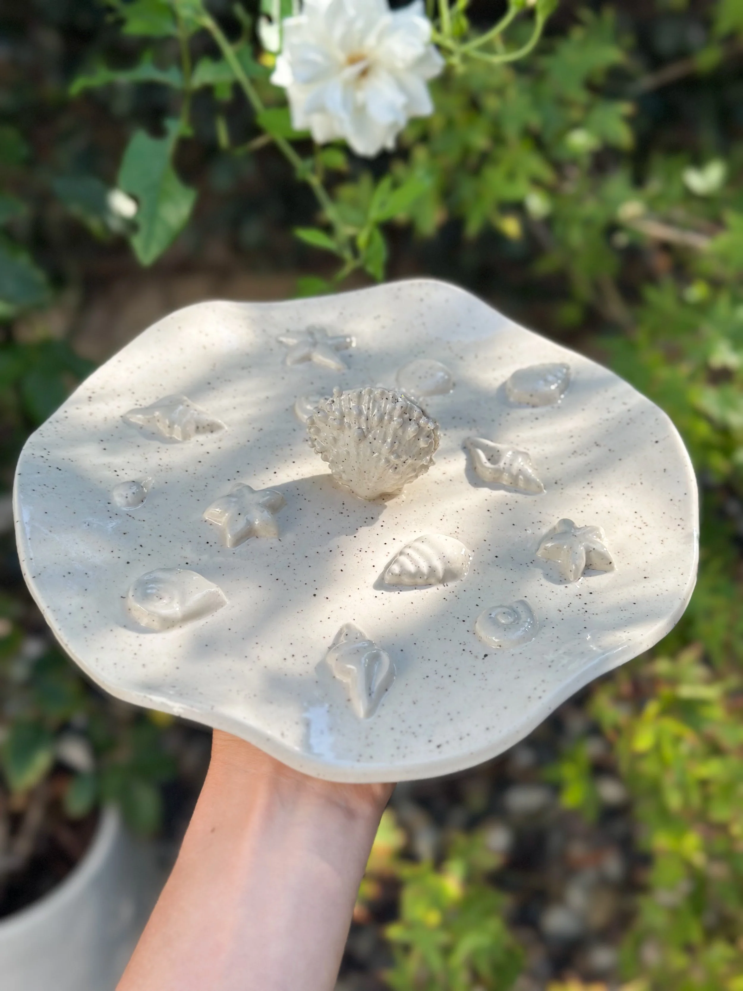 Seashell Dish