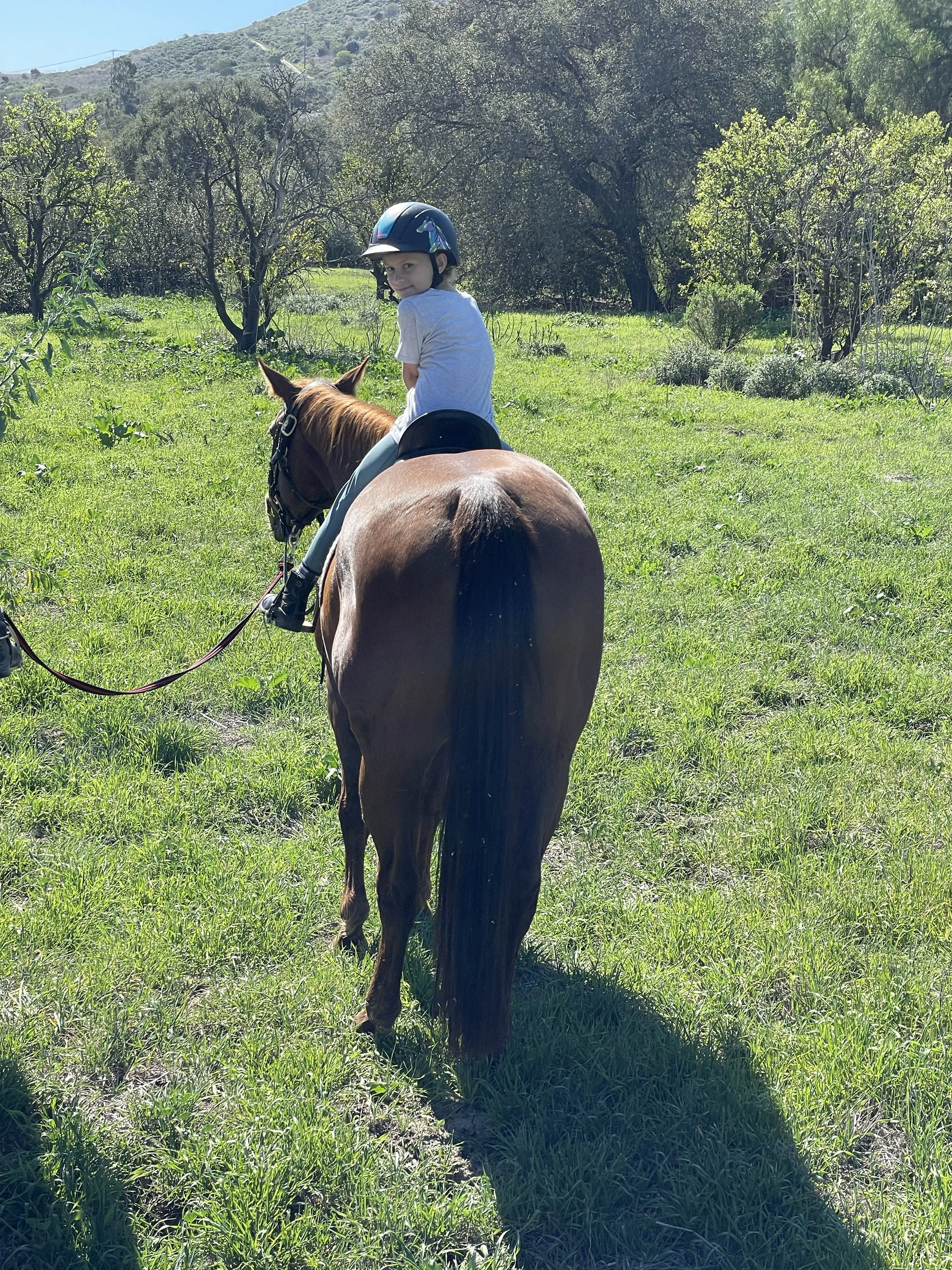 Child riding a brown horse in a grassy field