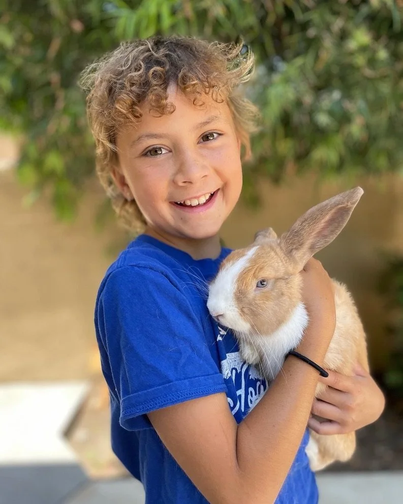 Child smiling while holding a brown and white rabbit outdoors, wearing a blue shirt.