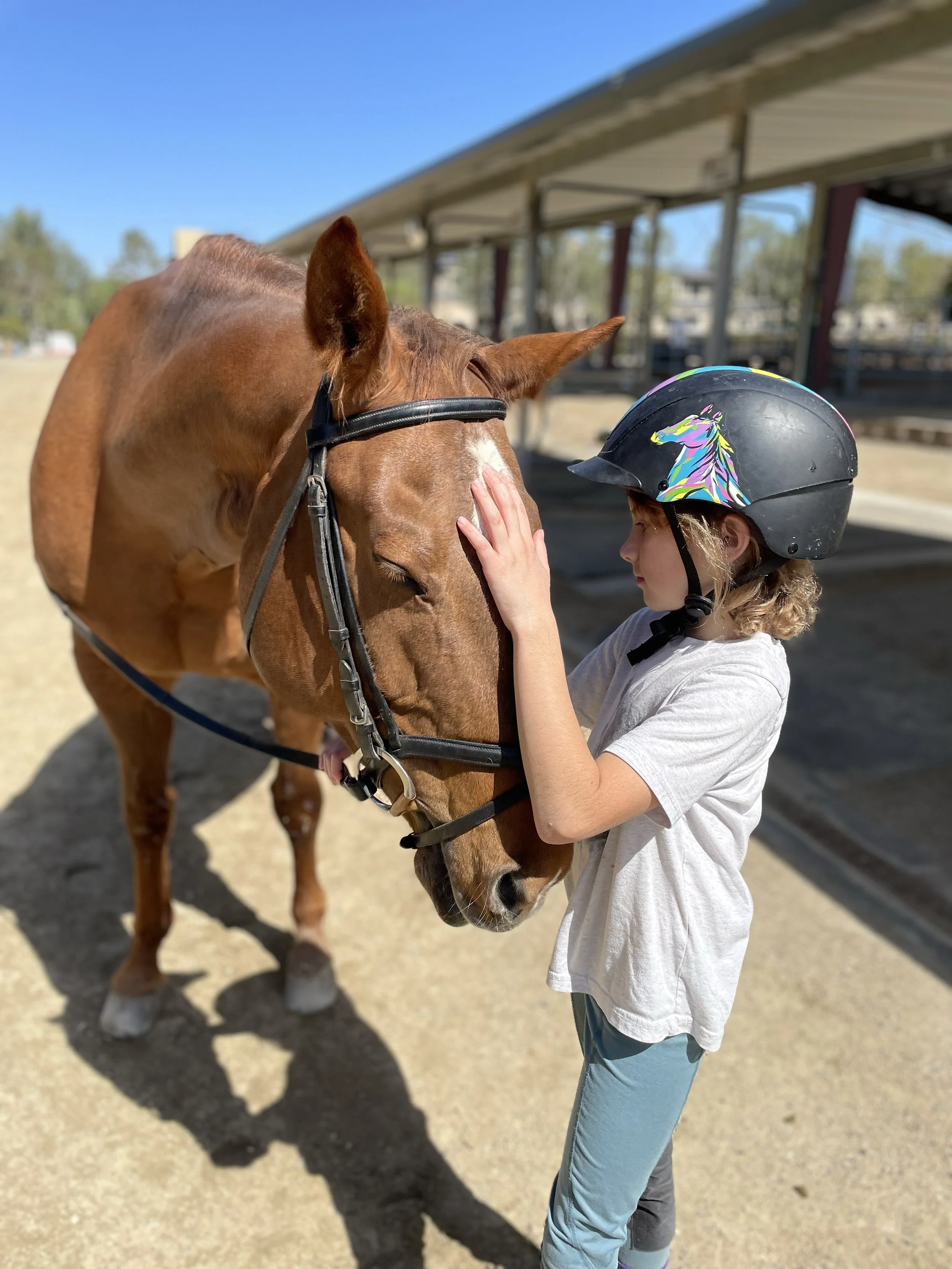 Child wearing a helmet gently touching a horse's face in a sunny outdoor setting.
