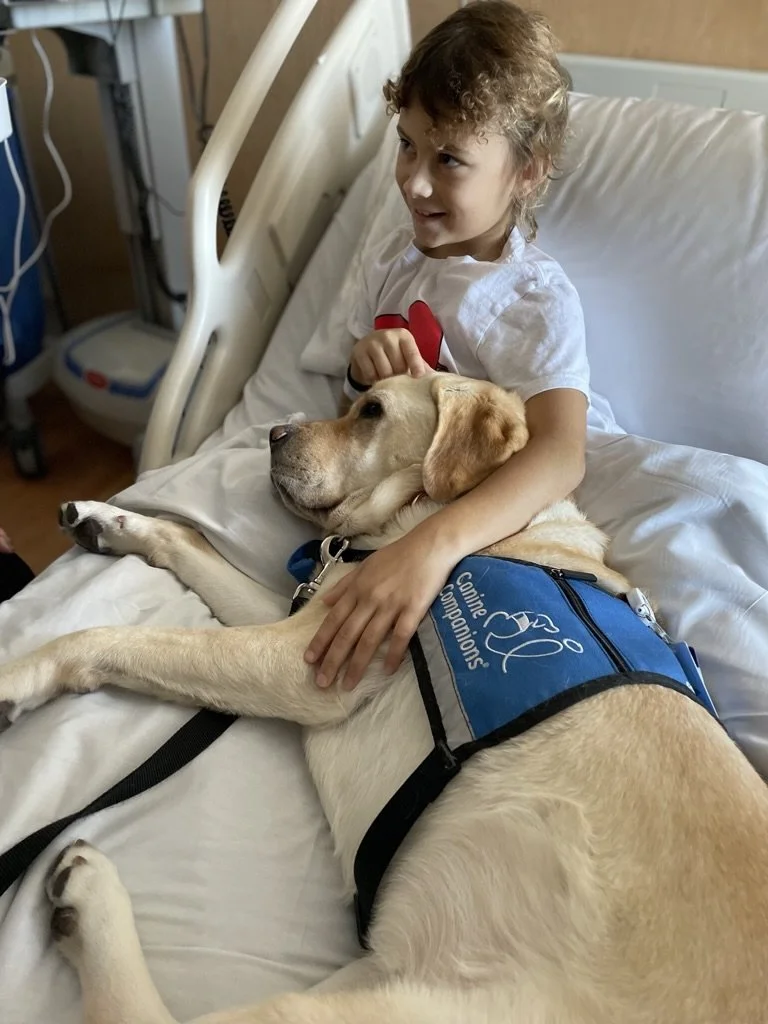 Child sitting in a hospital bed, smiling, while petting a service dog wearing a "Canine Companions" vest.