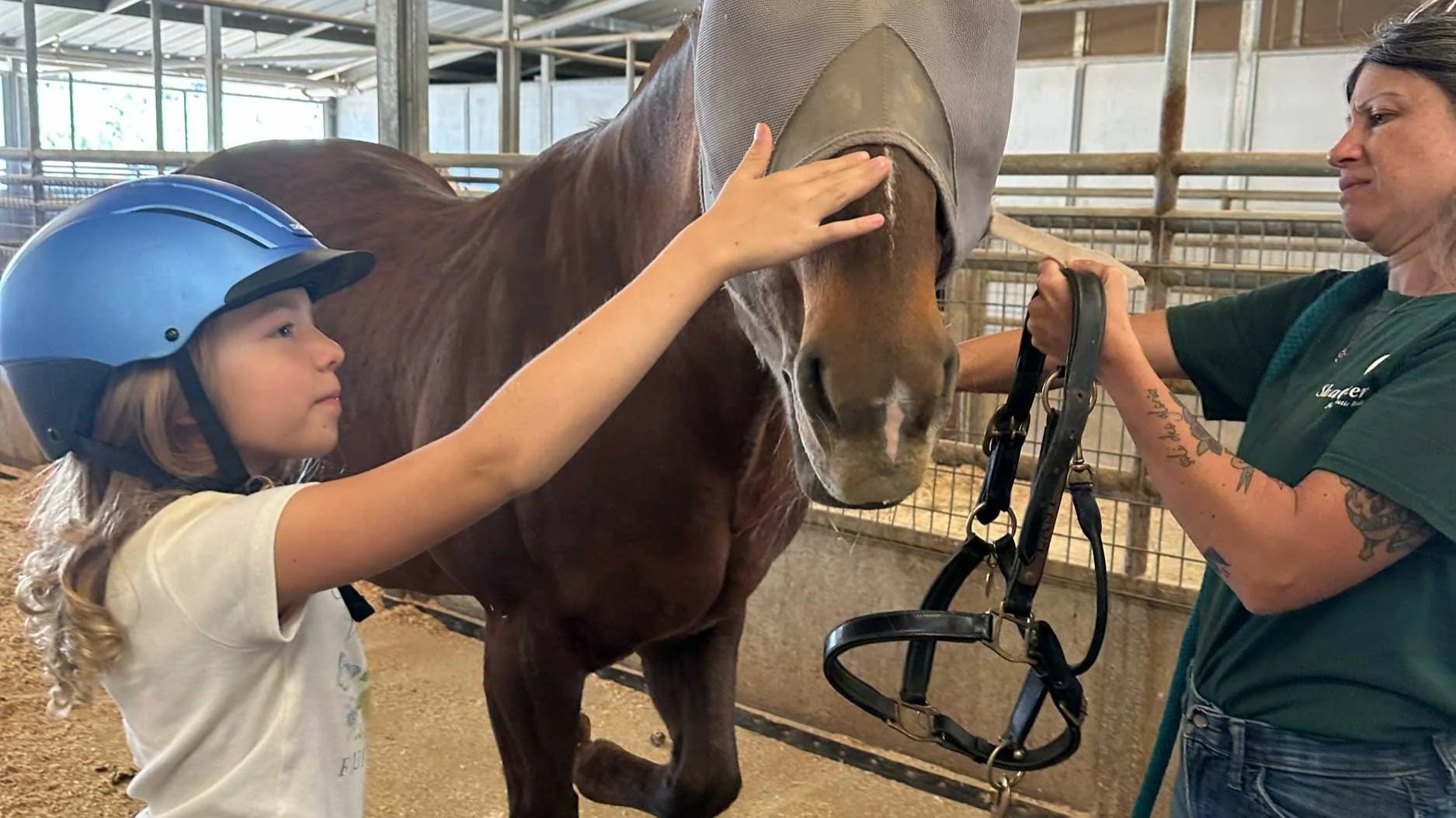 Equine Therapy Scholarship