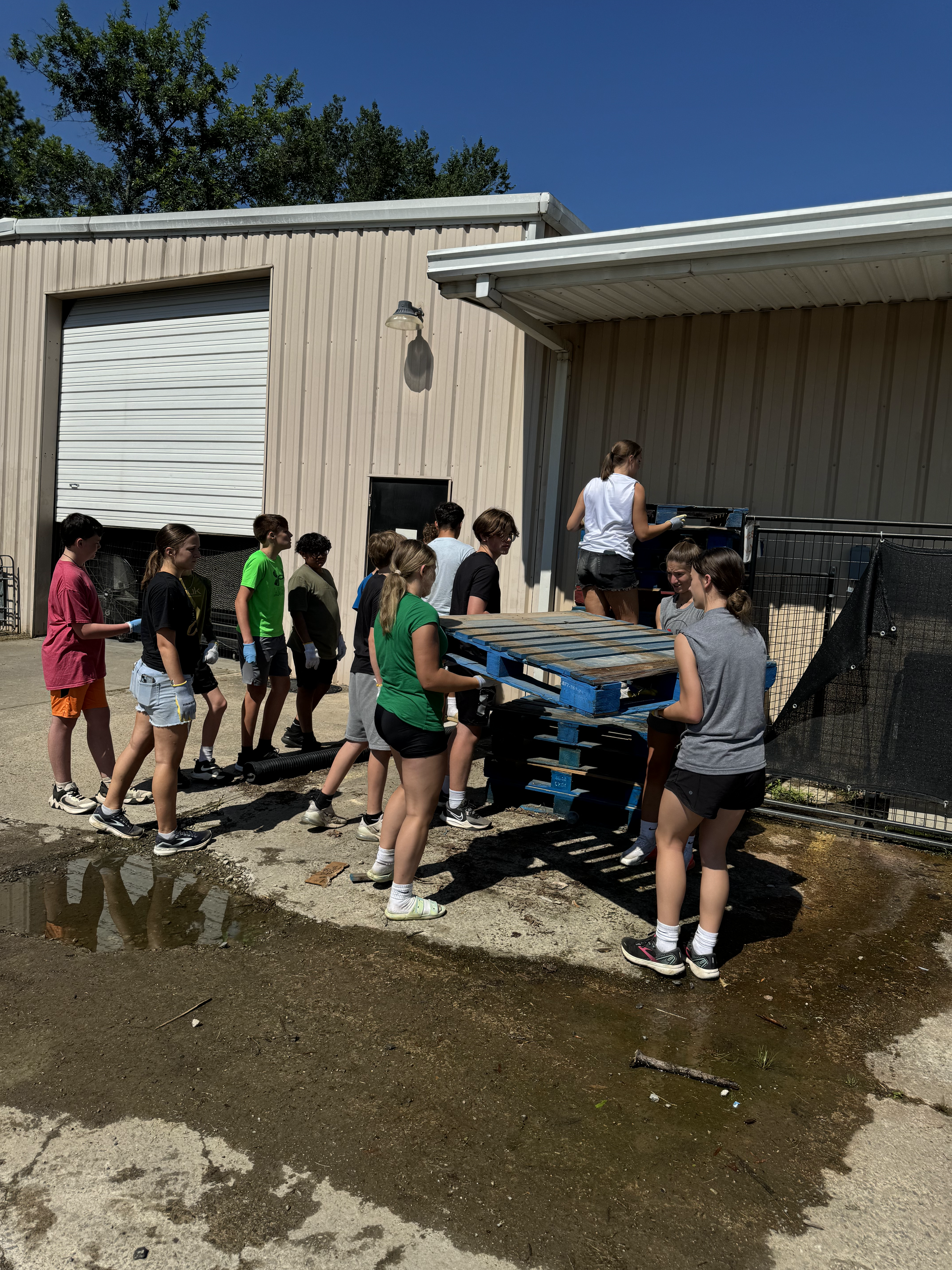 young volunteers move food palettes