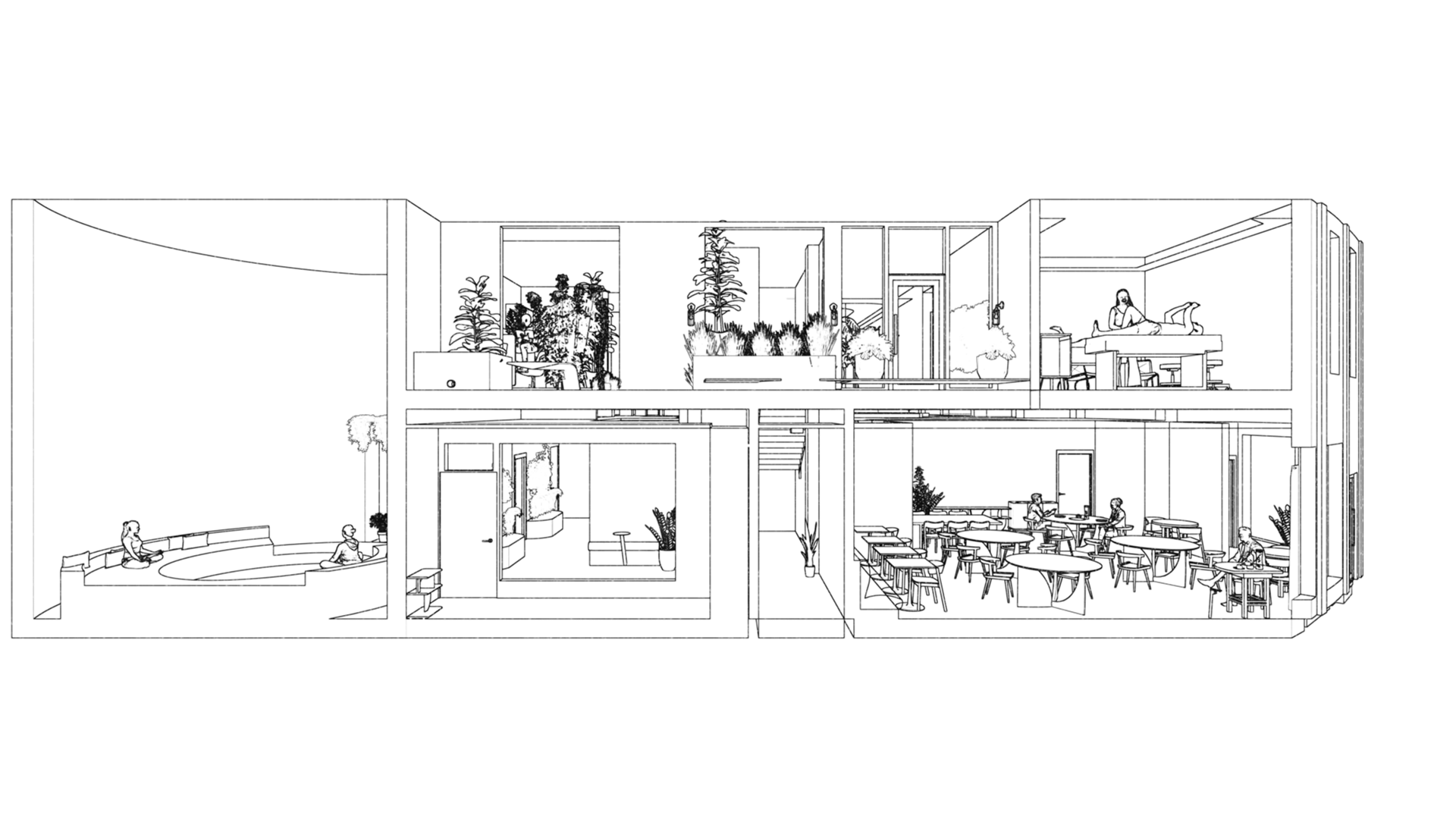 south building section.png