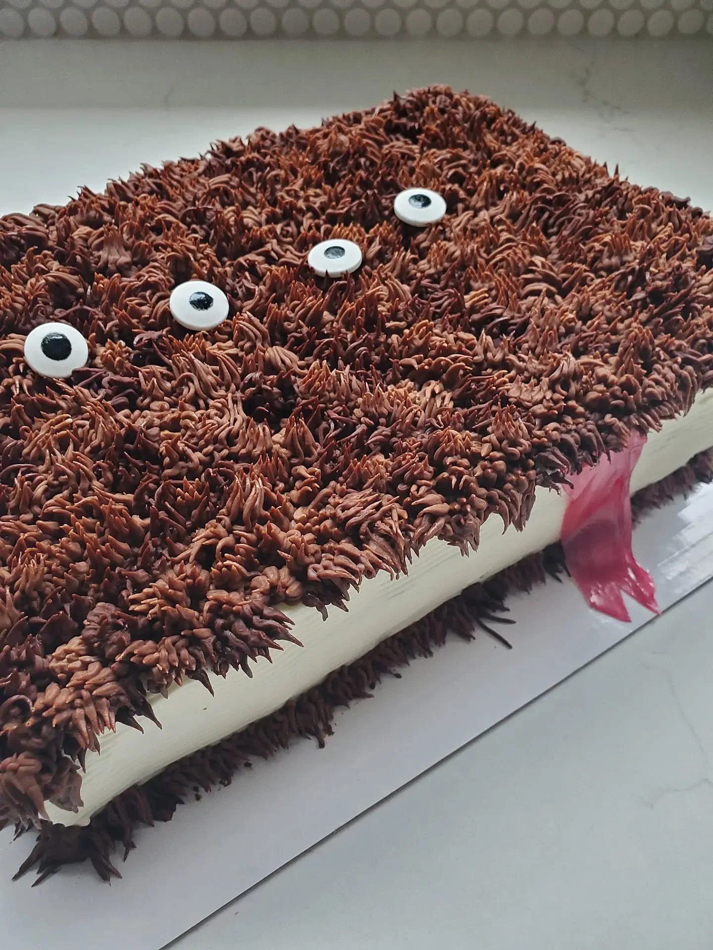 Monster Book of Monsters for a Harry Potter themed party I wish I was attending myself! 

Chocolate cake, housemade raspberry jam, and chocolate cream cheese frosting 🍫

#drippingspringseats
#drippingspringsbaker
#cakesofinstagram
#yerawizardharry