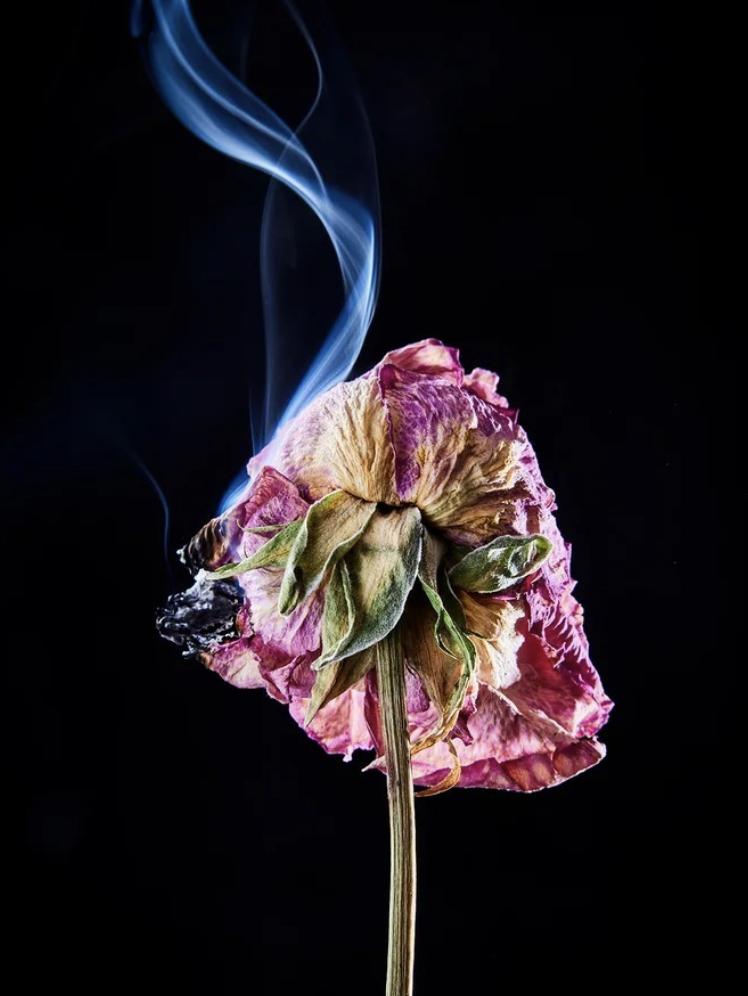 Food and beverage photography by Andrea D'Agosto, photographer and director