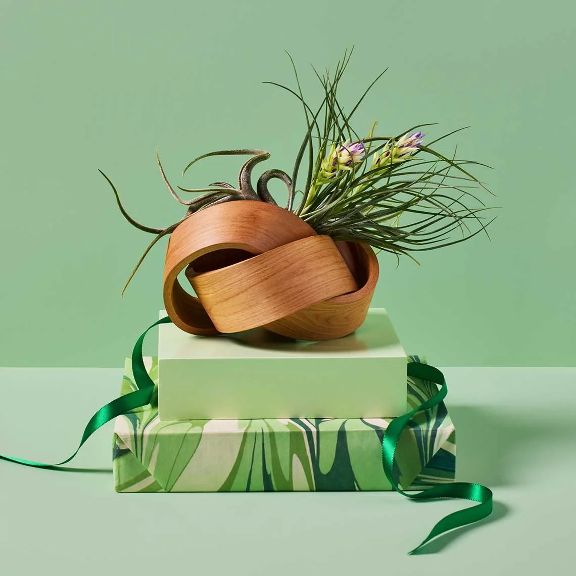 Still life photography by Hilary McMullen, photographer and director