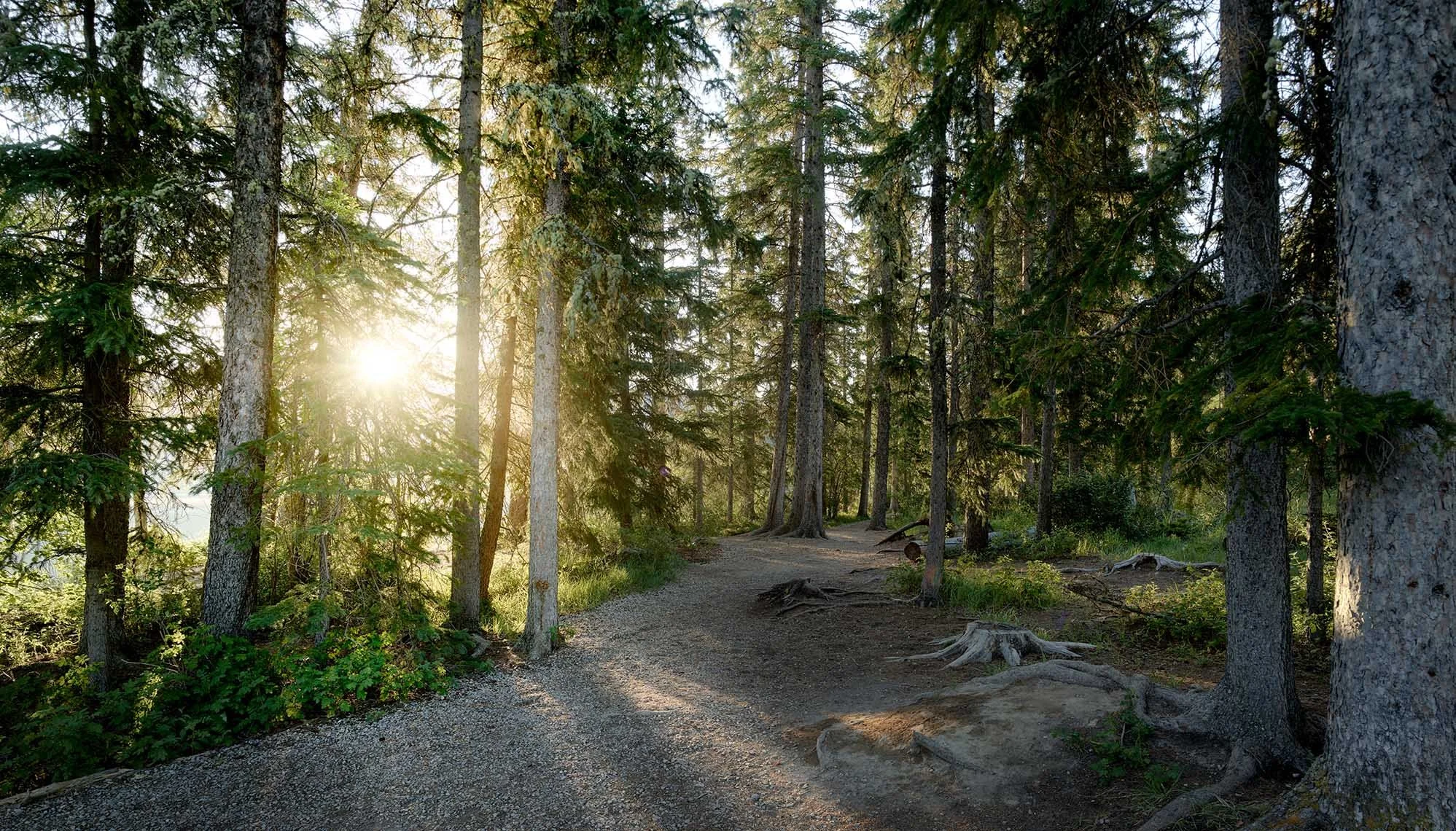 Landscape photography by David Westphal, photographer, director and drone operator
