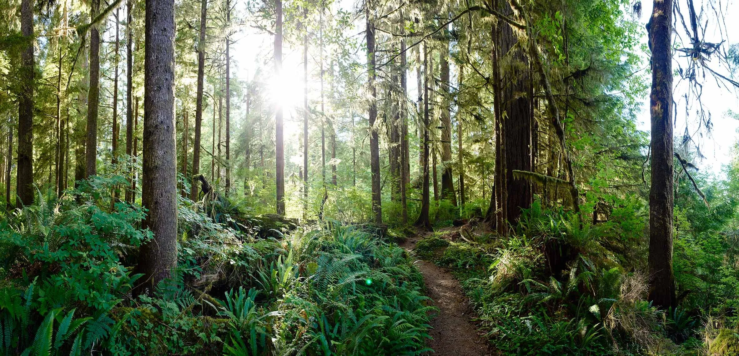 Landscape photography by David Westphal, photographer, director and drone operator