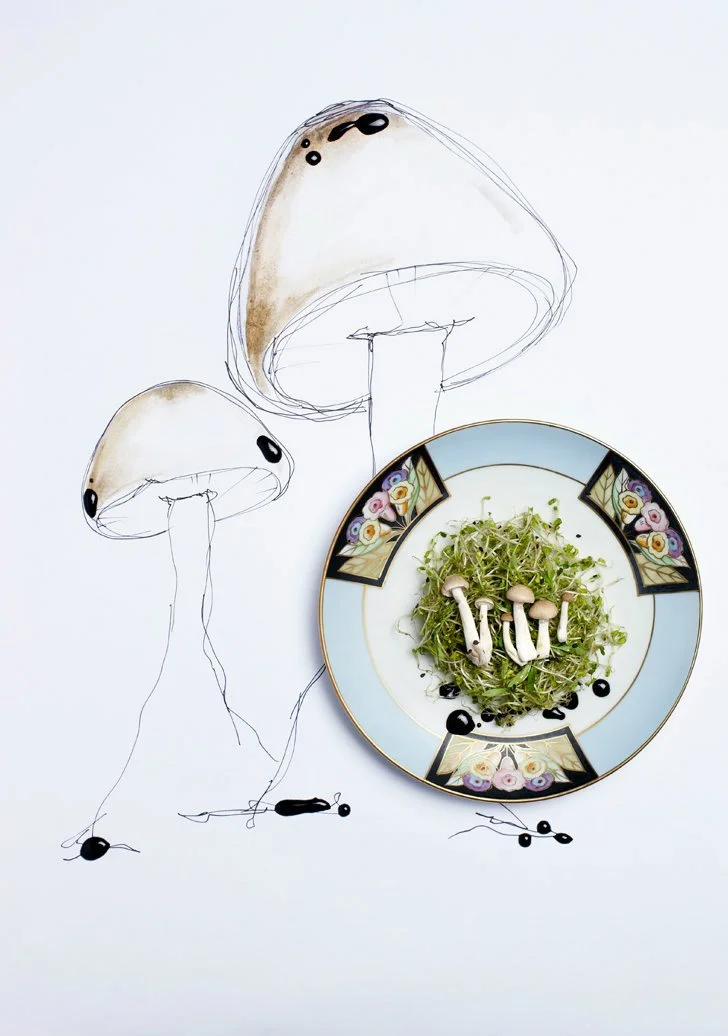 mushroomsandradishes.jpg