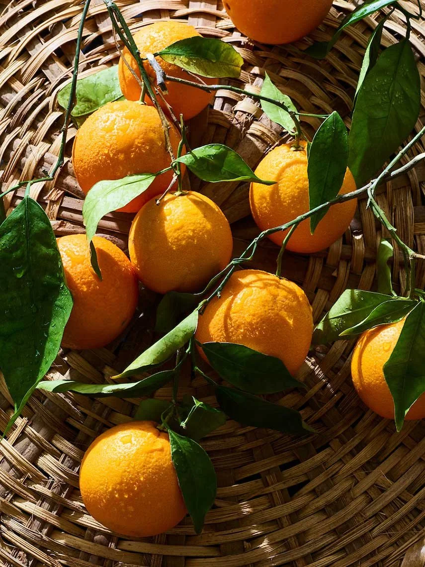 Food photography by James Ransom, photographer and director