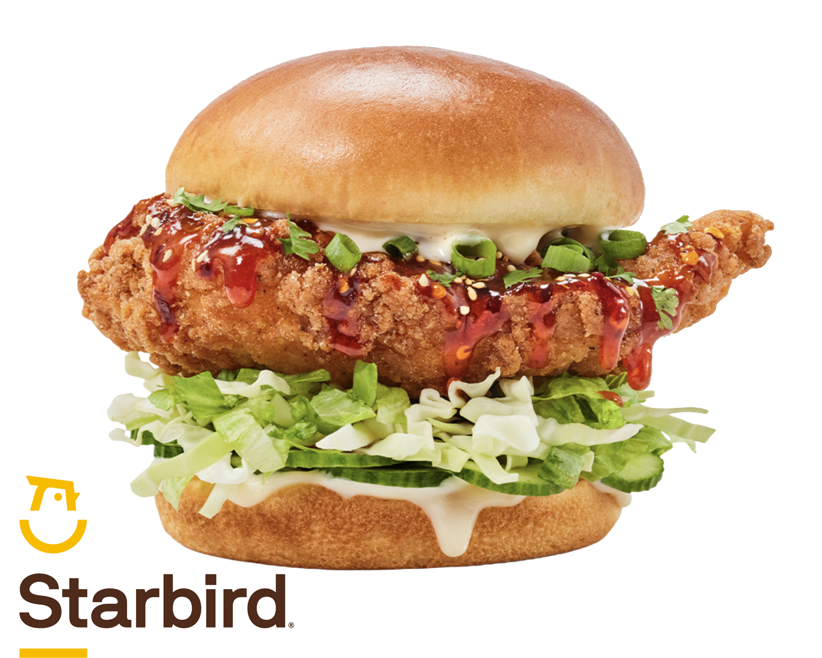 AndreaDAgosto_MarahAbel_FoodPhotography_FriedChicken001.png