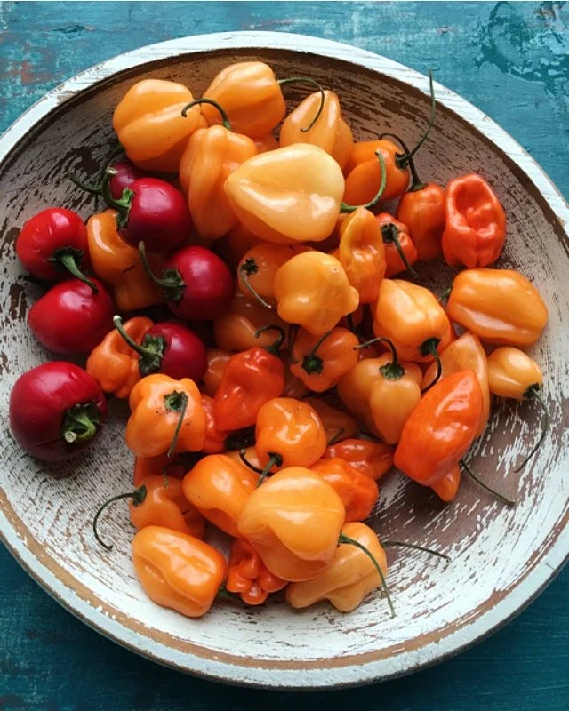 Food photography by Hilary McMullen, photographer and director